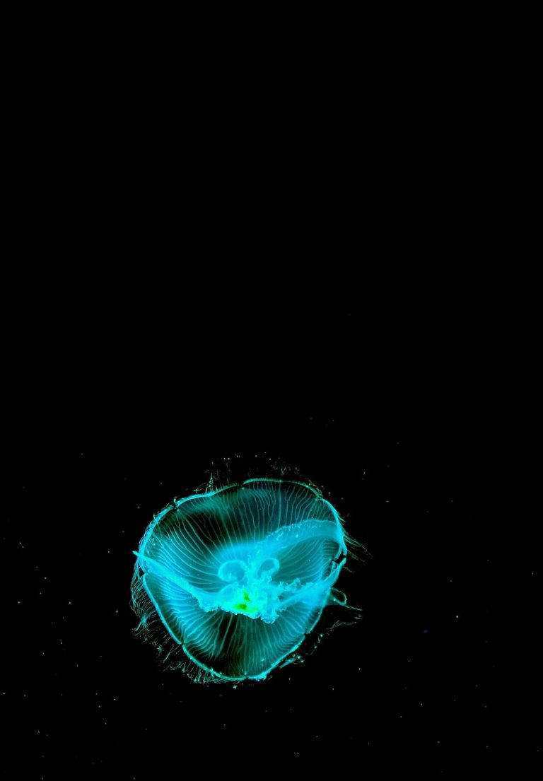Neon Cyan Manet iPad 2021 Bakgrunner