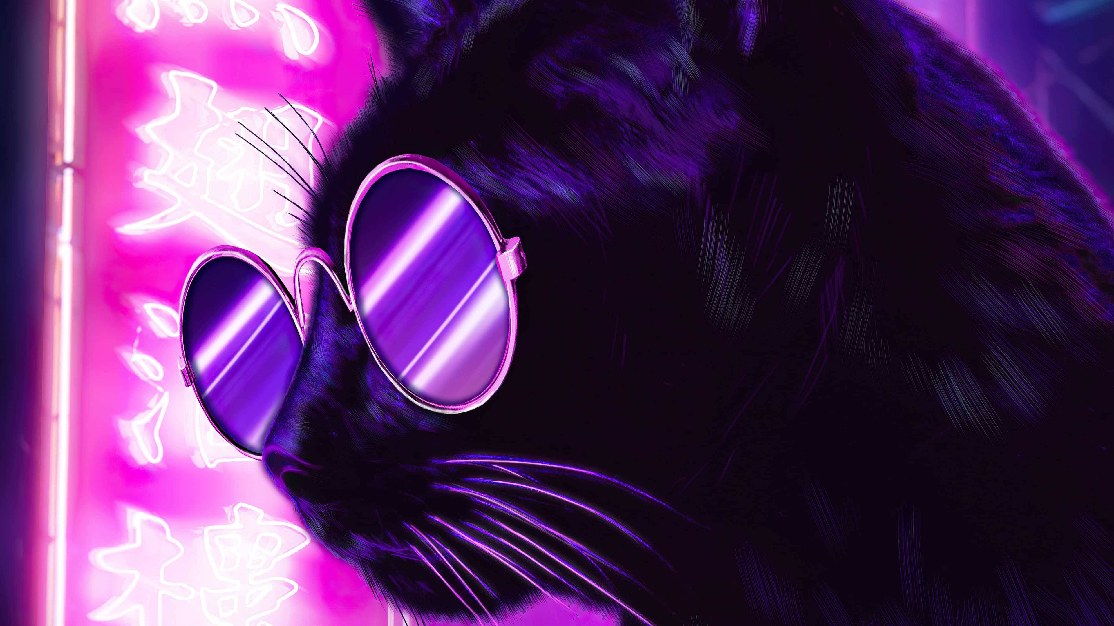 Neon lilla estetisk skyggekatt Bakgrunner