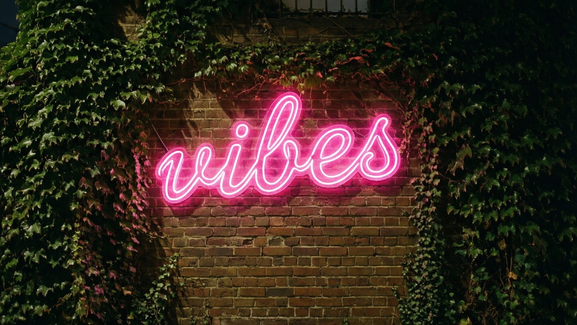 Neon Vibes Skilt Bakgrunner