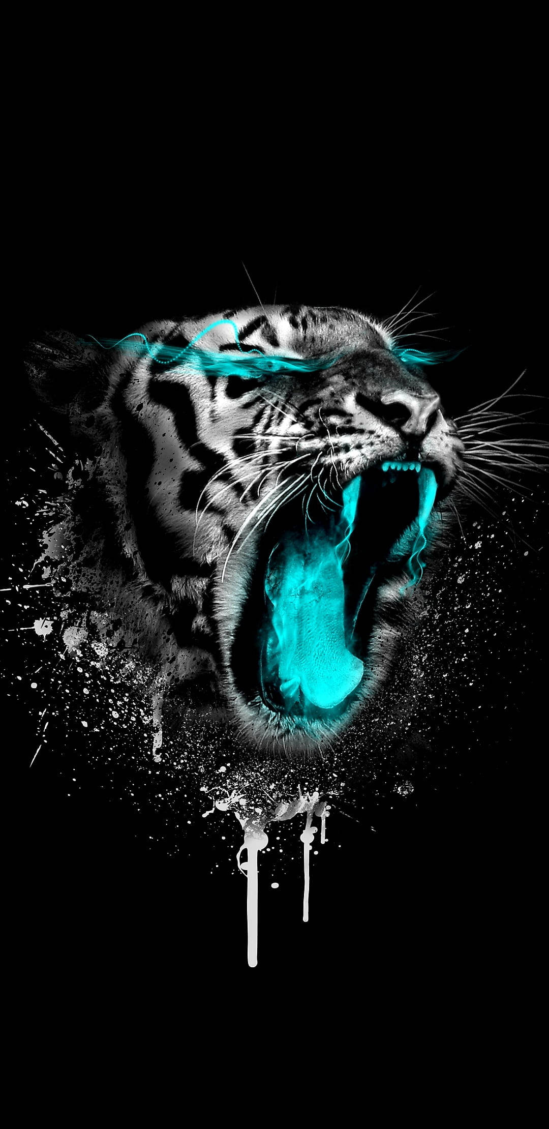 Neonblå sint tiger Bakgrunner