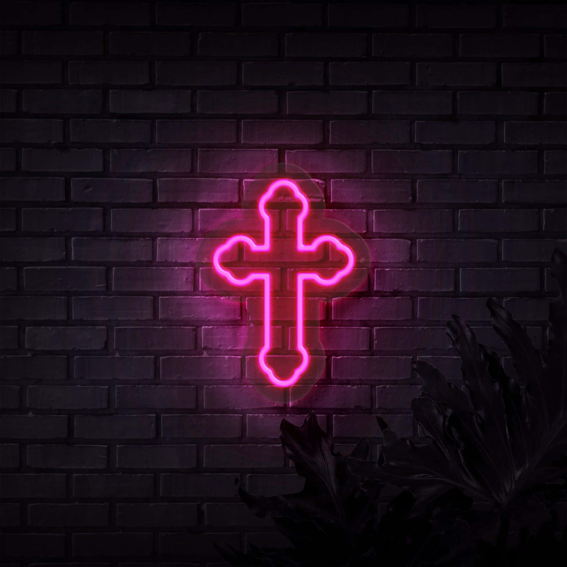 Neonkors neonrosa Bakgrunner