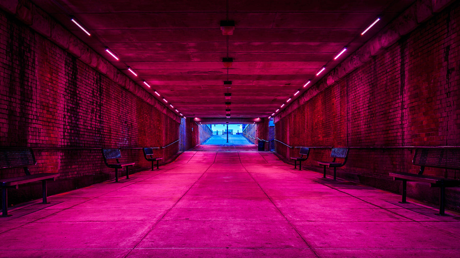Neonrosa underjordisk tunnel Bakgrunner