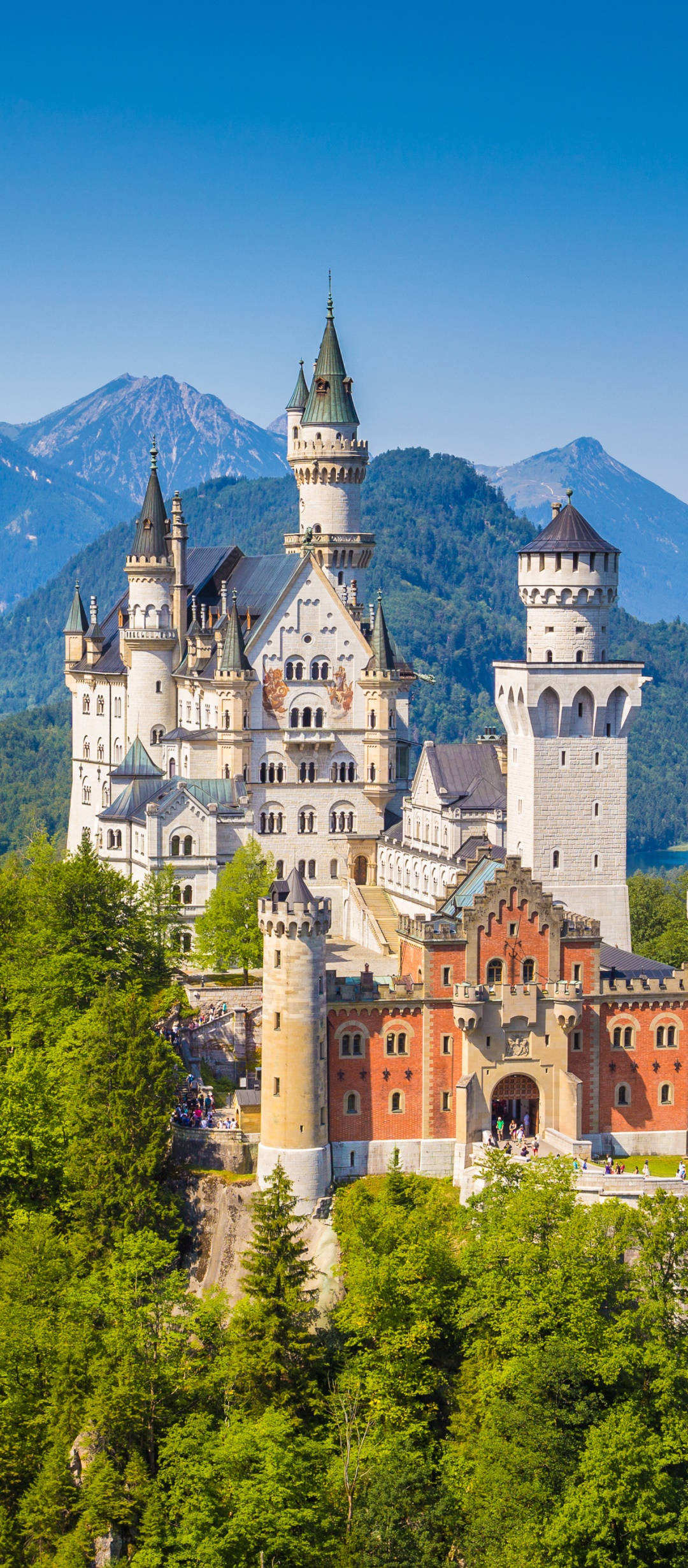 Neuschwanstein Slott med Fjellbakgrunn Bakgrunner