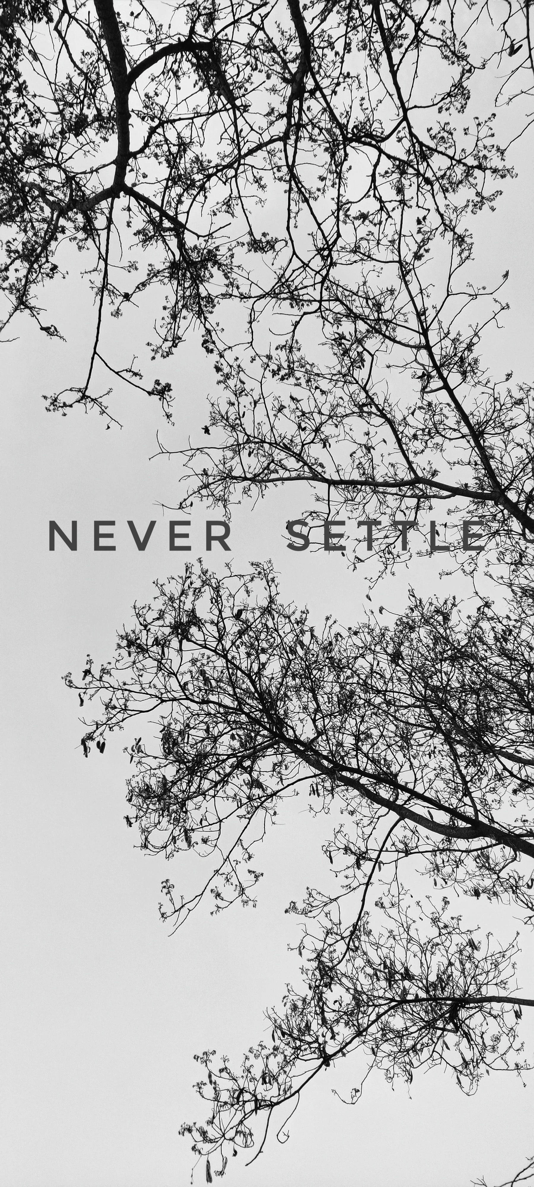 Never Settle Hvit Svart Tre Bakgrunner