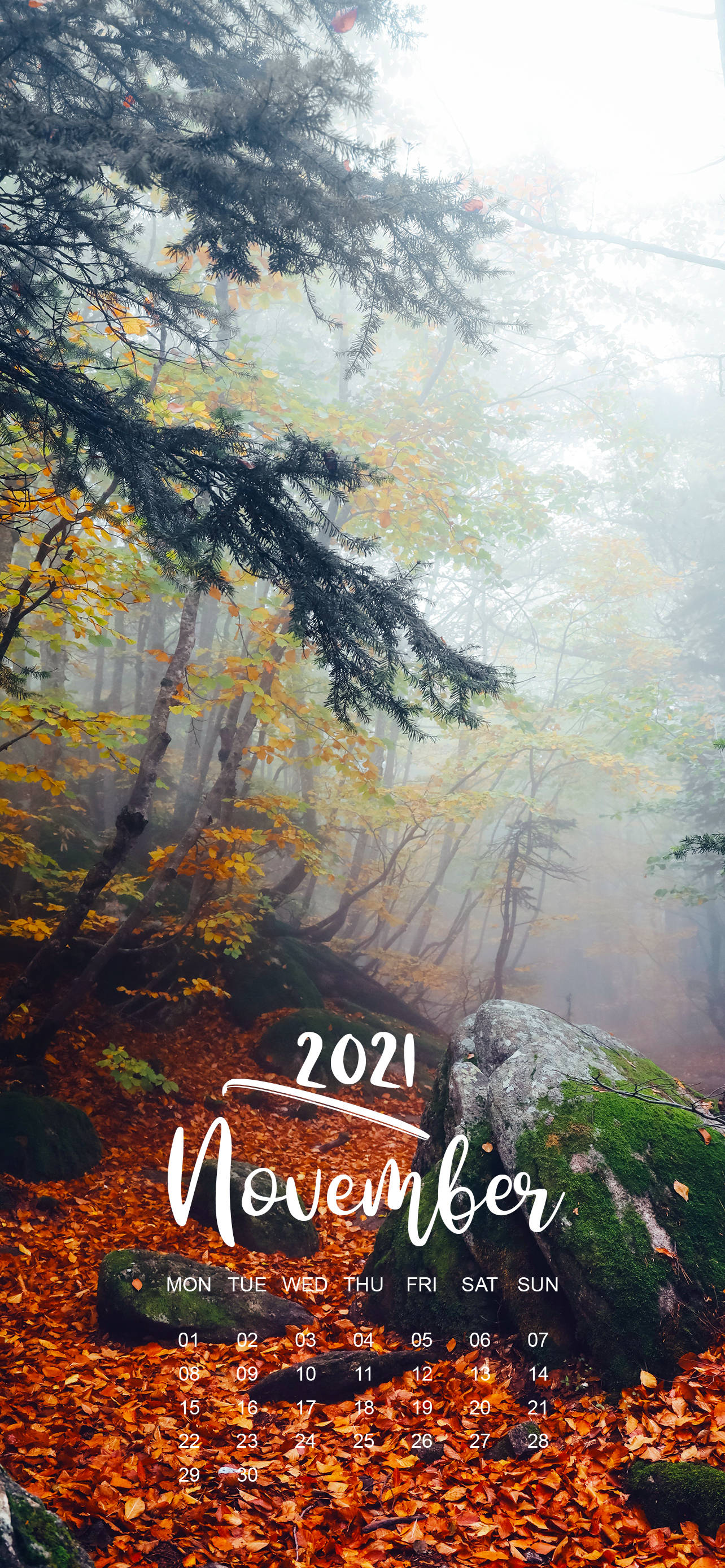November 2021 Kalender Tåkete Skog Bakgrunner