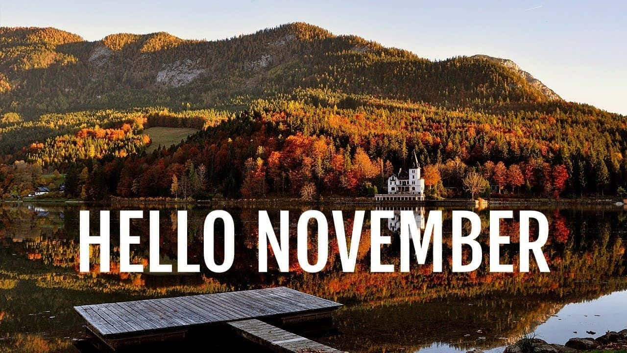 November Fall Hei November Skog Bakgrunner