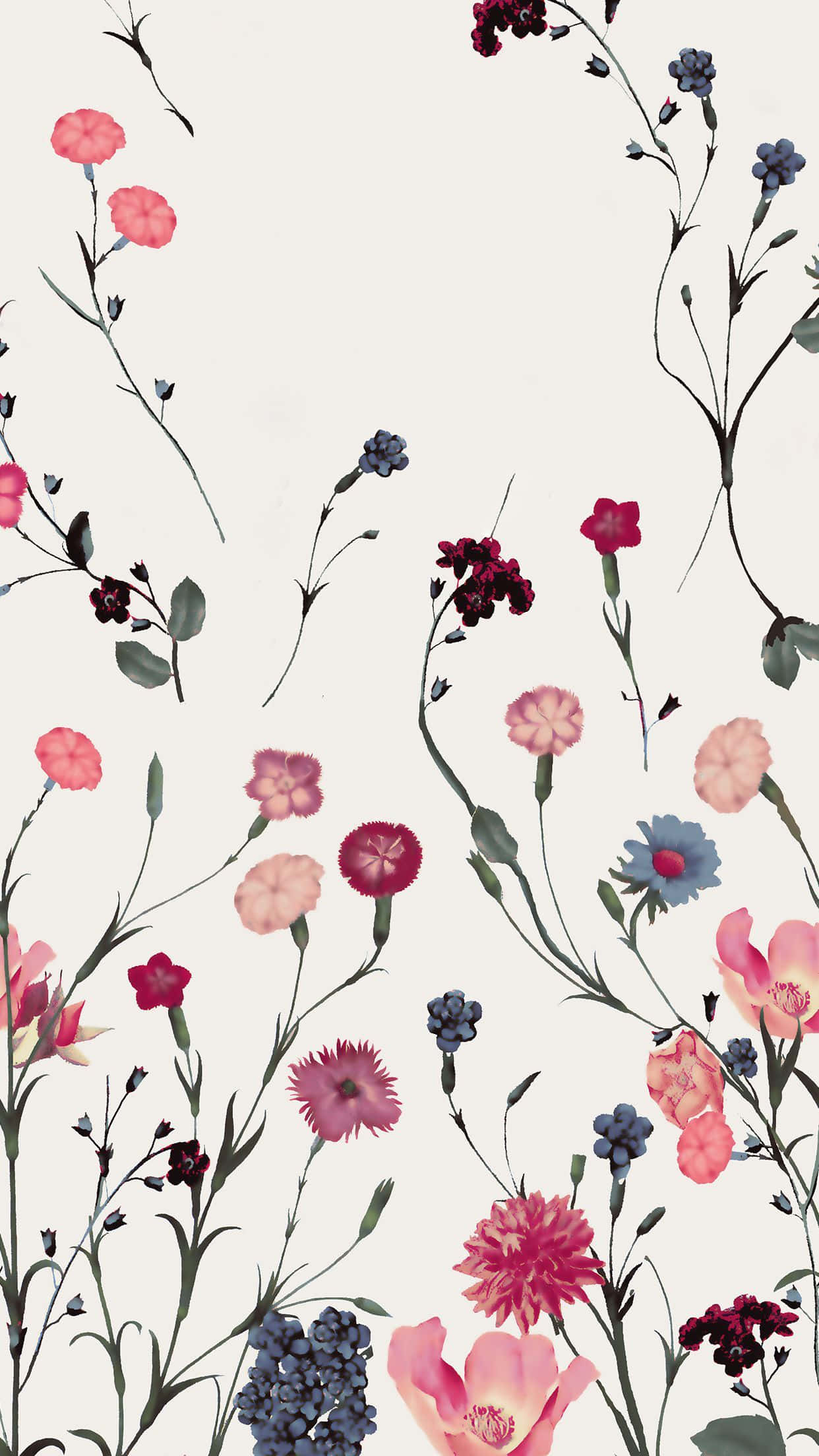 Nærbilde av en fargerik blomst opplyst av iPhone-lys Bakgrunner