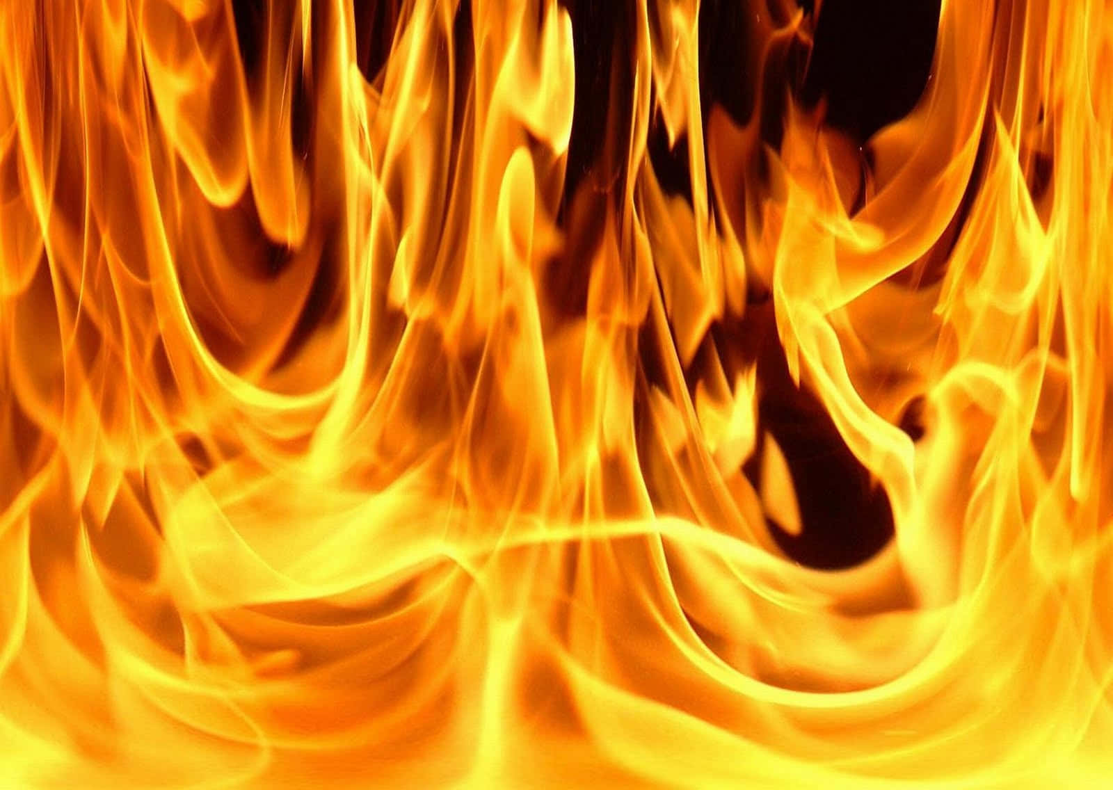 nærbilde av en flammende ild Bakgrunner