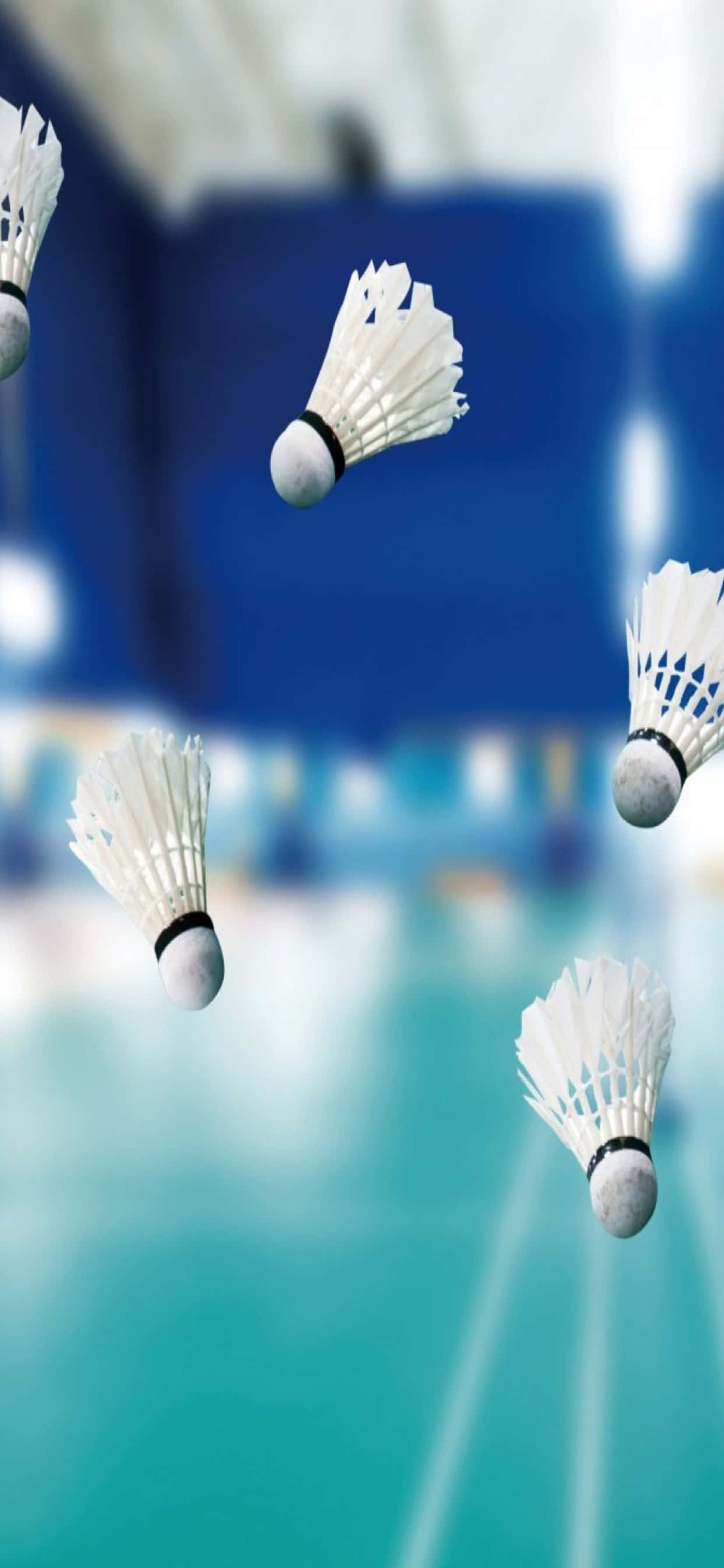 Nyt å spille badminton med den nyeste iPhone Xs Max Bakgrunner