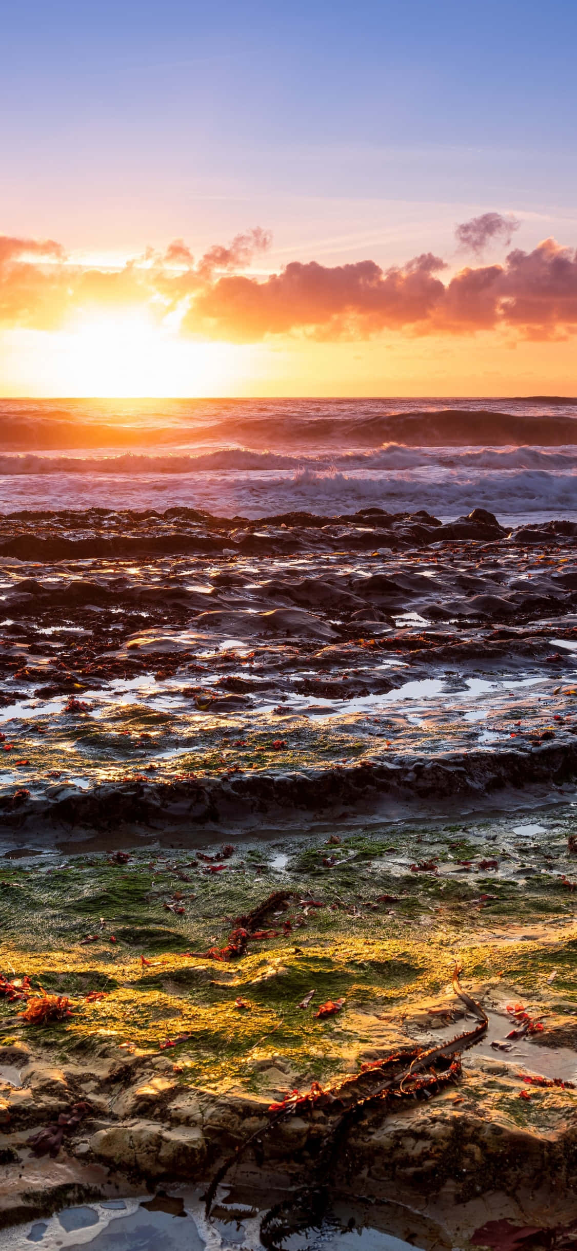 Nyt California-kysten hvor som helst med iPhone X Bakgrunner