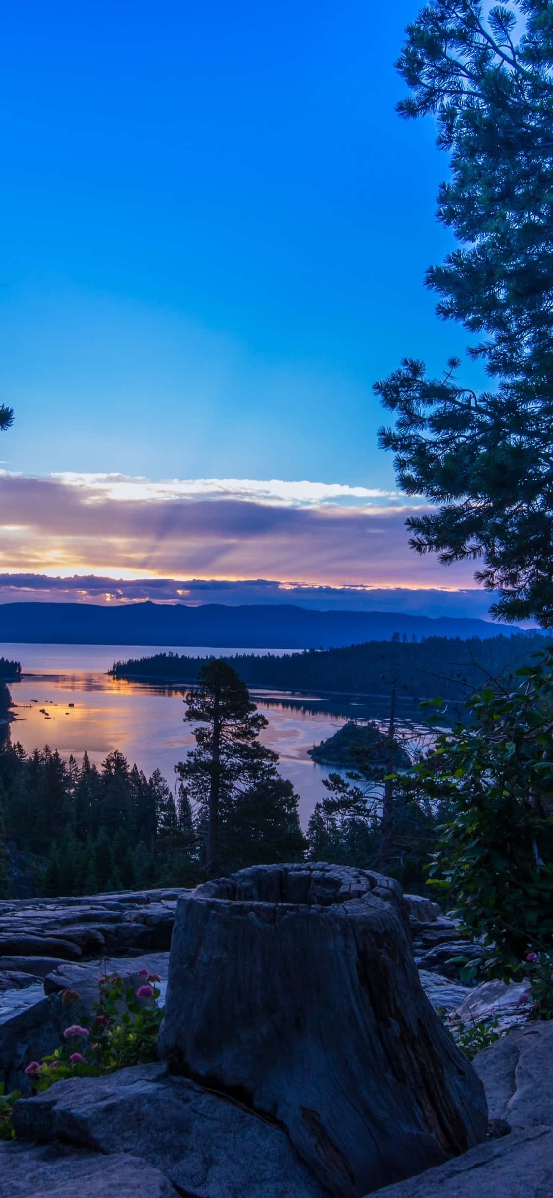 Nyt de fantastiske utsiktene i California med iPhone X Bakgrunner