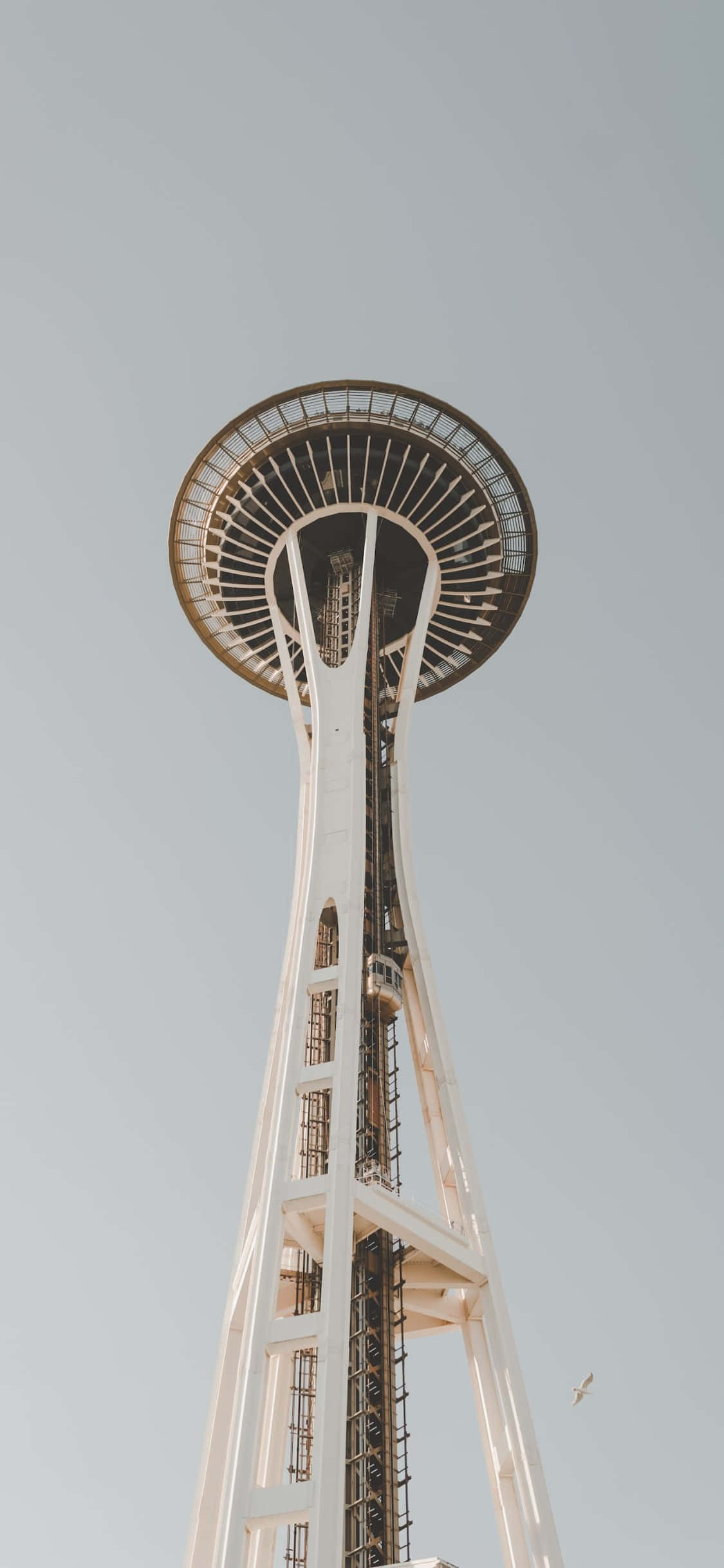 Nyt den fantastiske Seattle-horisonten fra perspektivet til en iPhone X. Bakgrunner