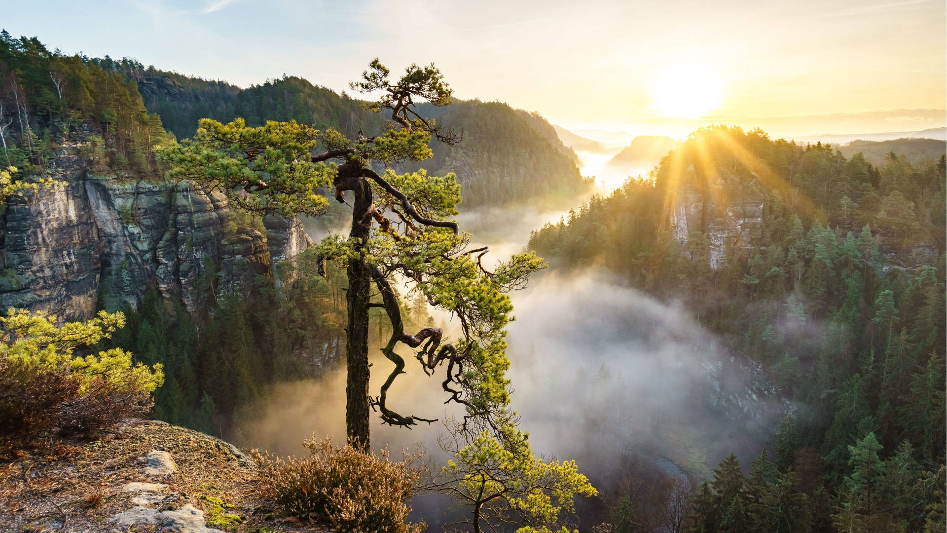 Naturfotografi med soloppgang 4K bakgrunnsbilde