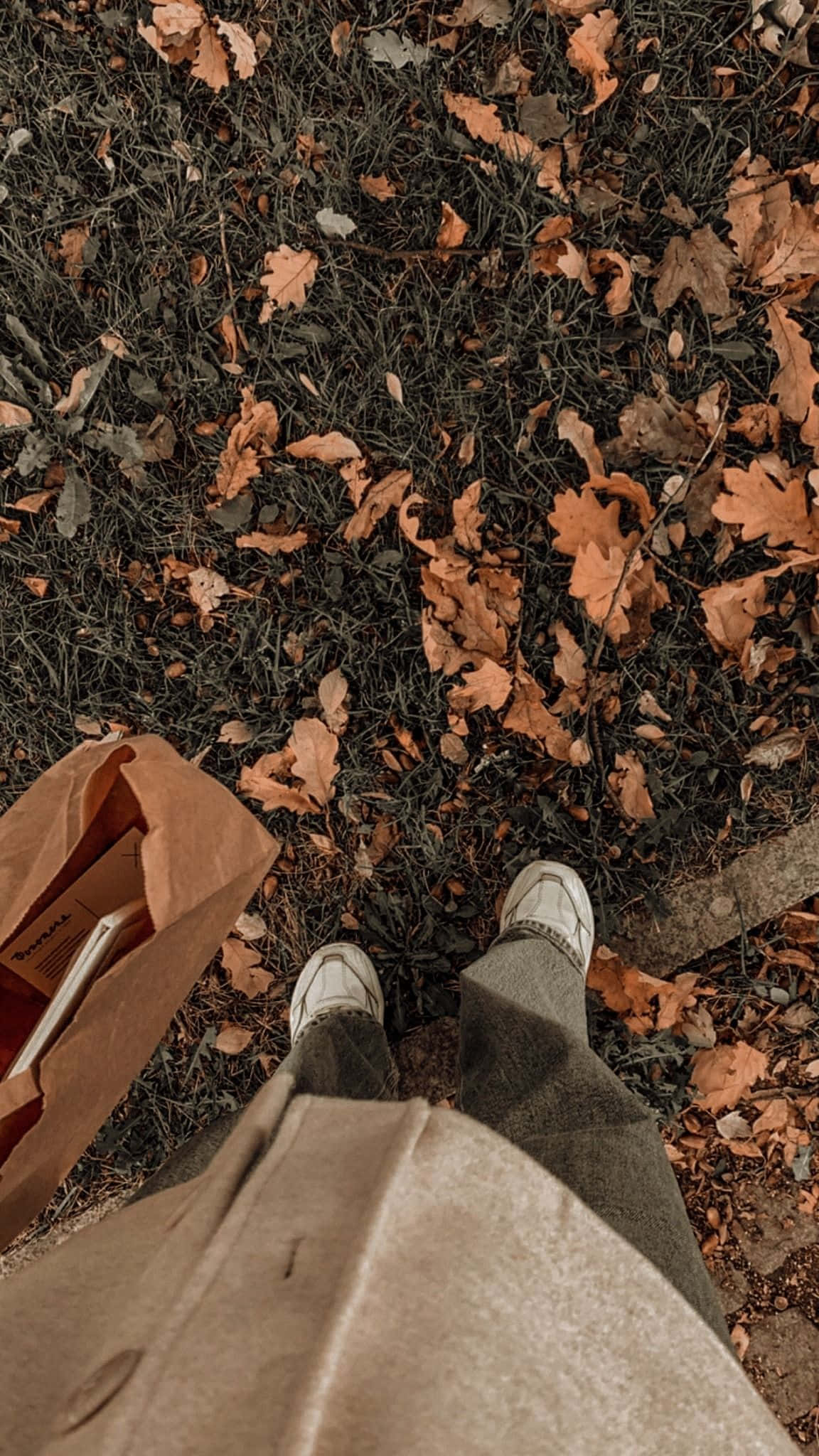 Nyt den varme, beroligende effekten av Aesthetic Brown Bakgrunner