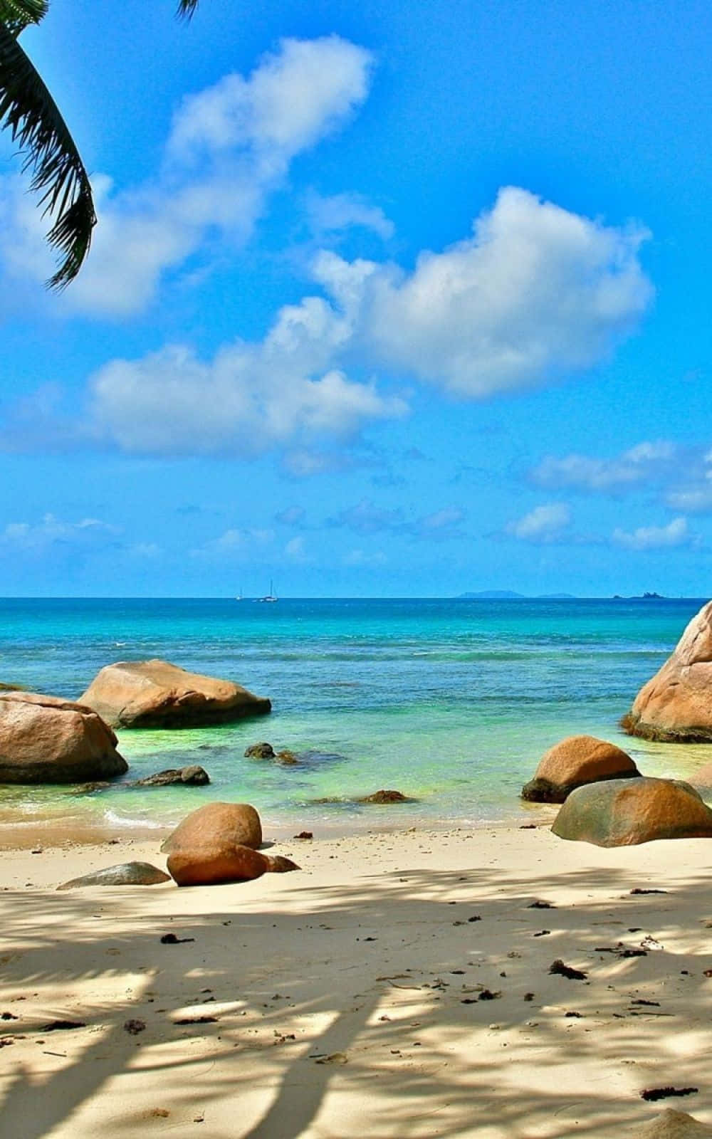 Nyt den varme solskinnet fra paradiset med Beach-telefon Bakgrunner
