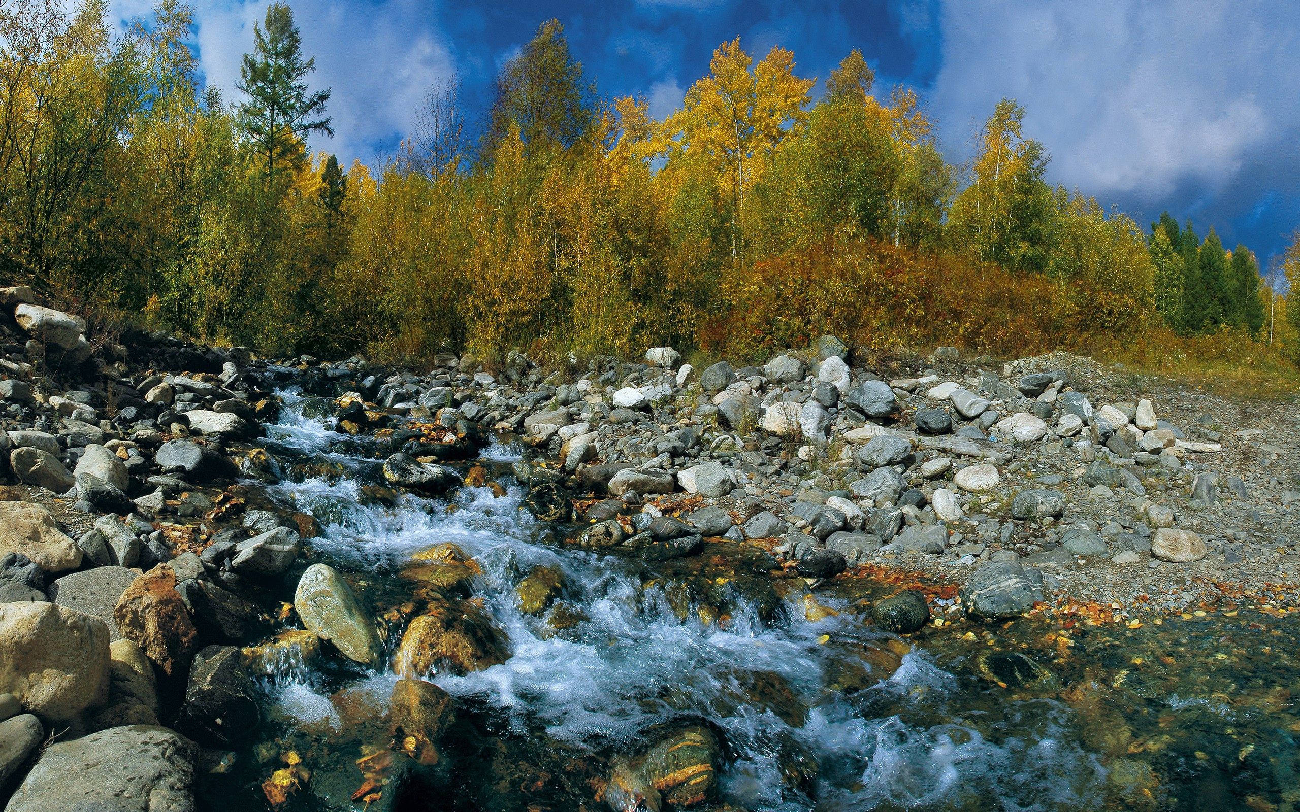 Nyt en avslappende sommerdag ved elven! Bakgrunner