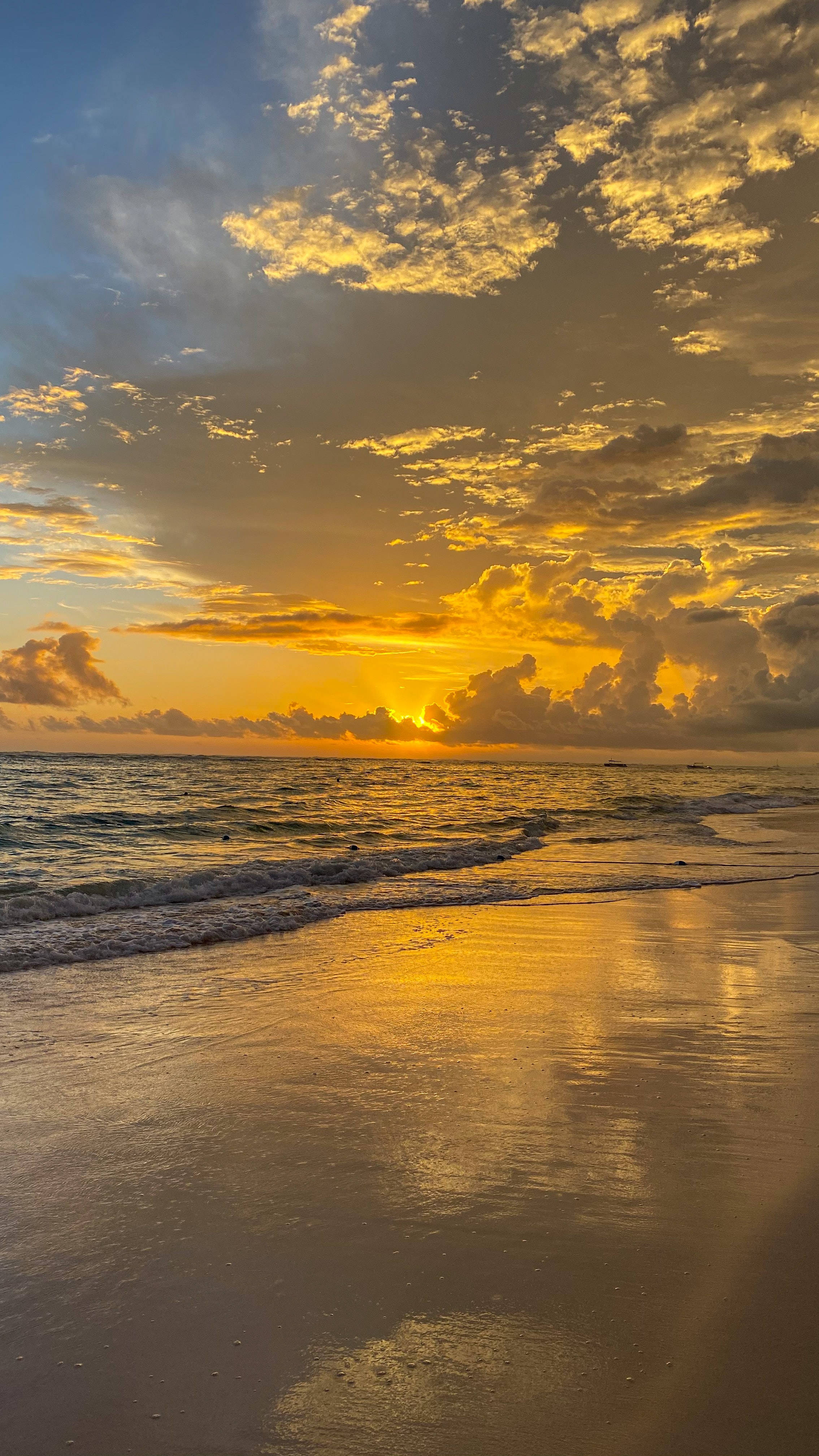 Nyt en gyllen solnedgang på stranden Bakgrunner