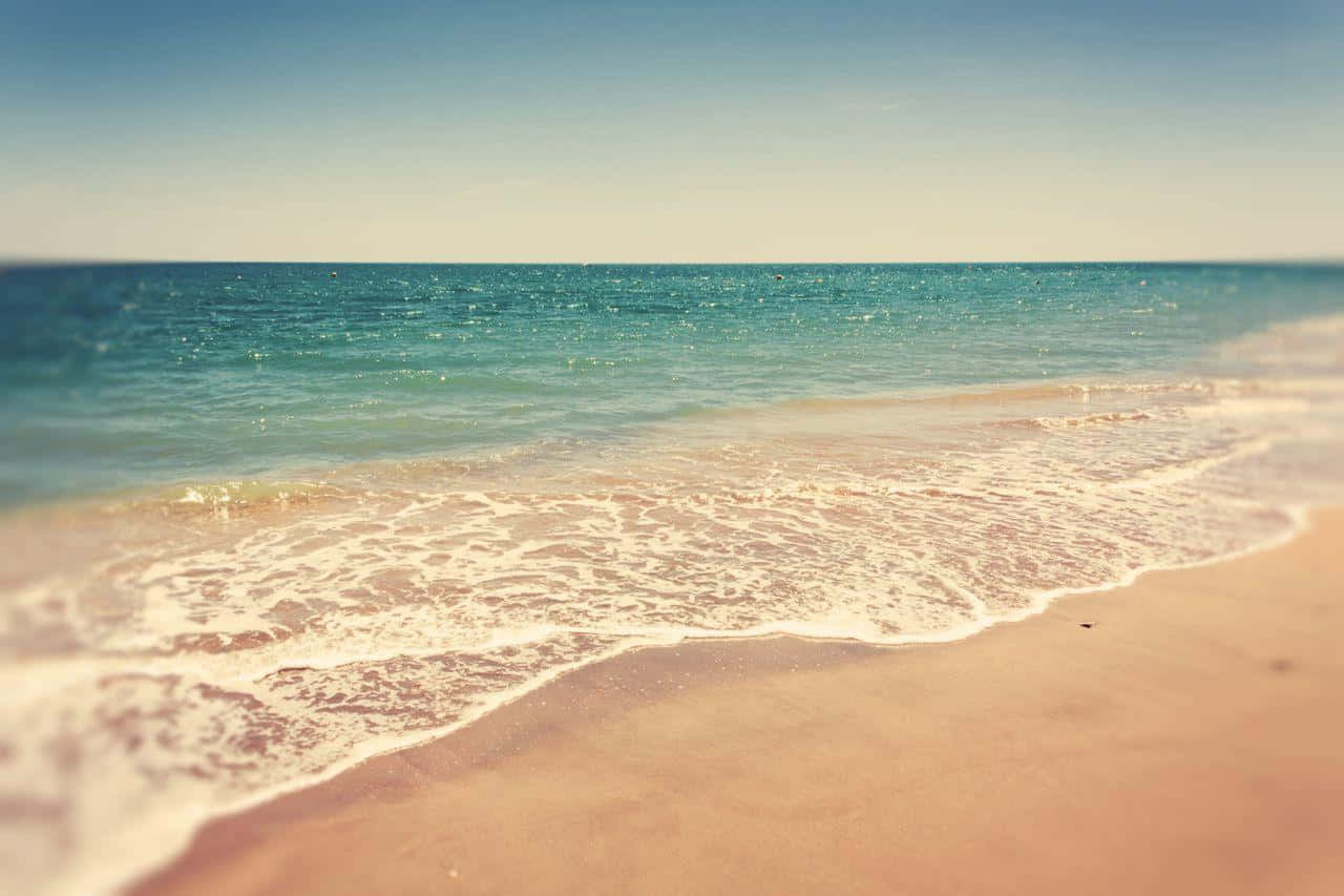 Nyt en magisk kveldstur på en vakker Aesthetic Beach. Bakgrunner