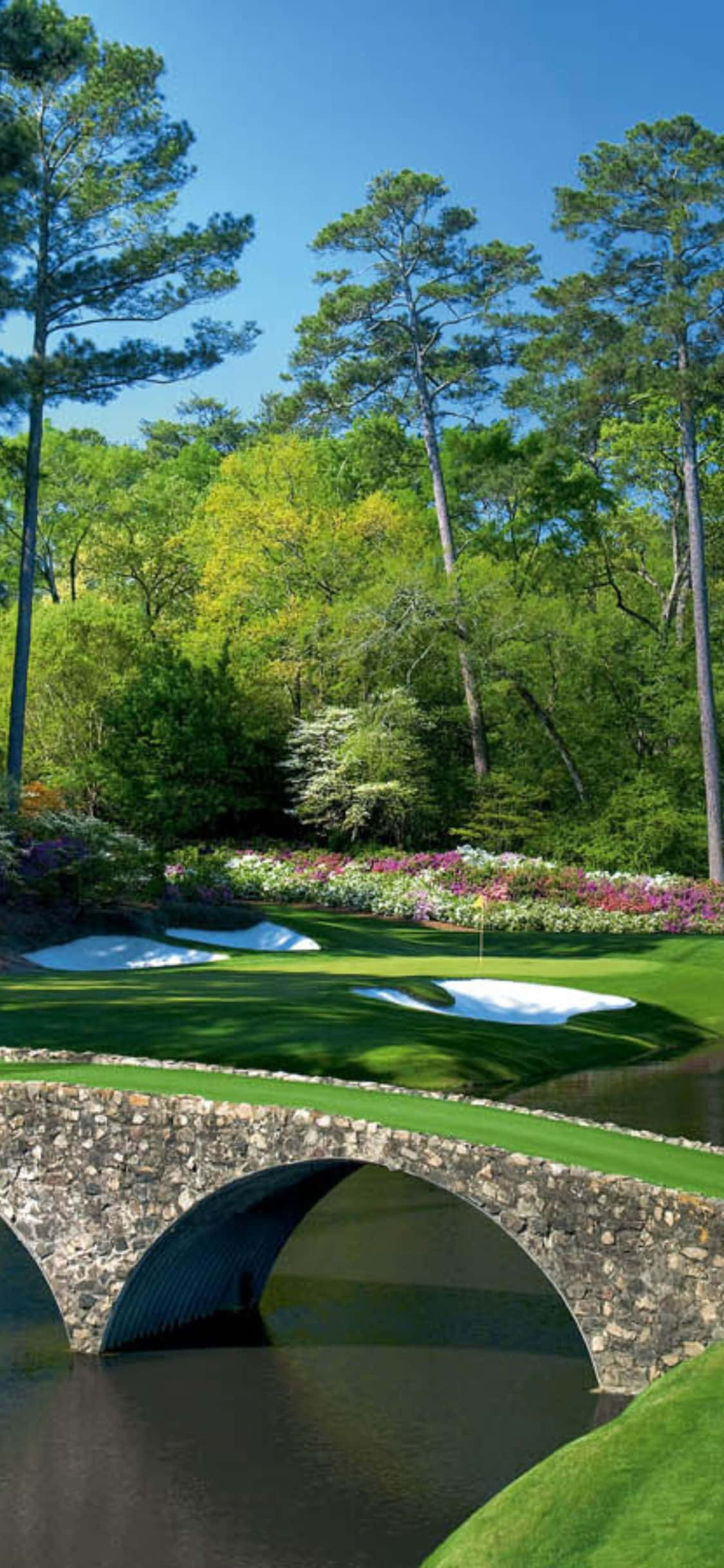 Nyt en runde golf i vakker natur med din iPhone X Bakgrunner