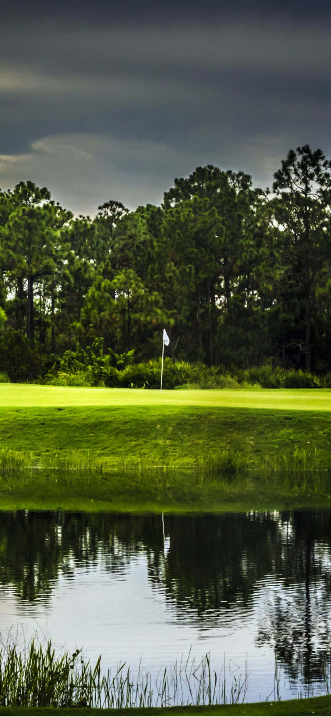 Nyt en runde golf mot et vakkert landskap Bakgrunner