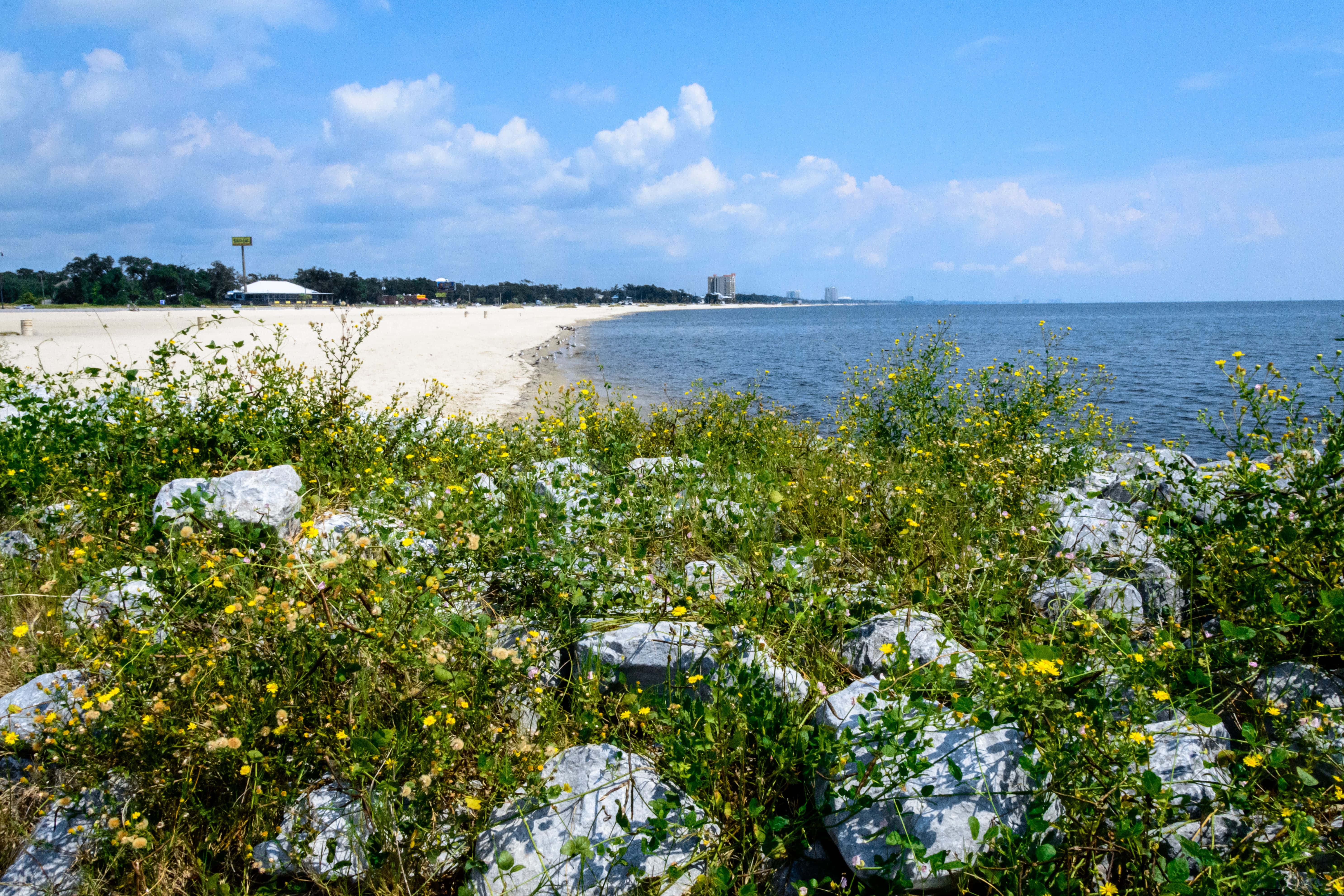 Nyt en stranddag i Gulfport, Mississippi Bakgrunner