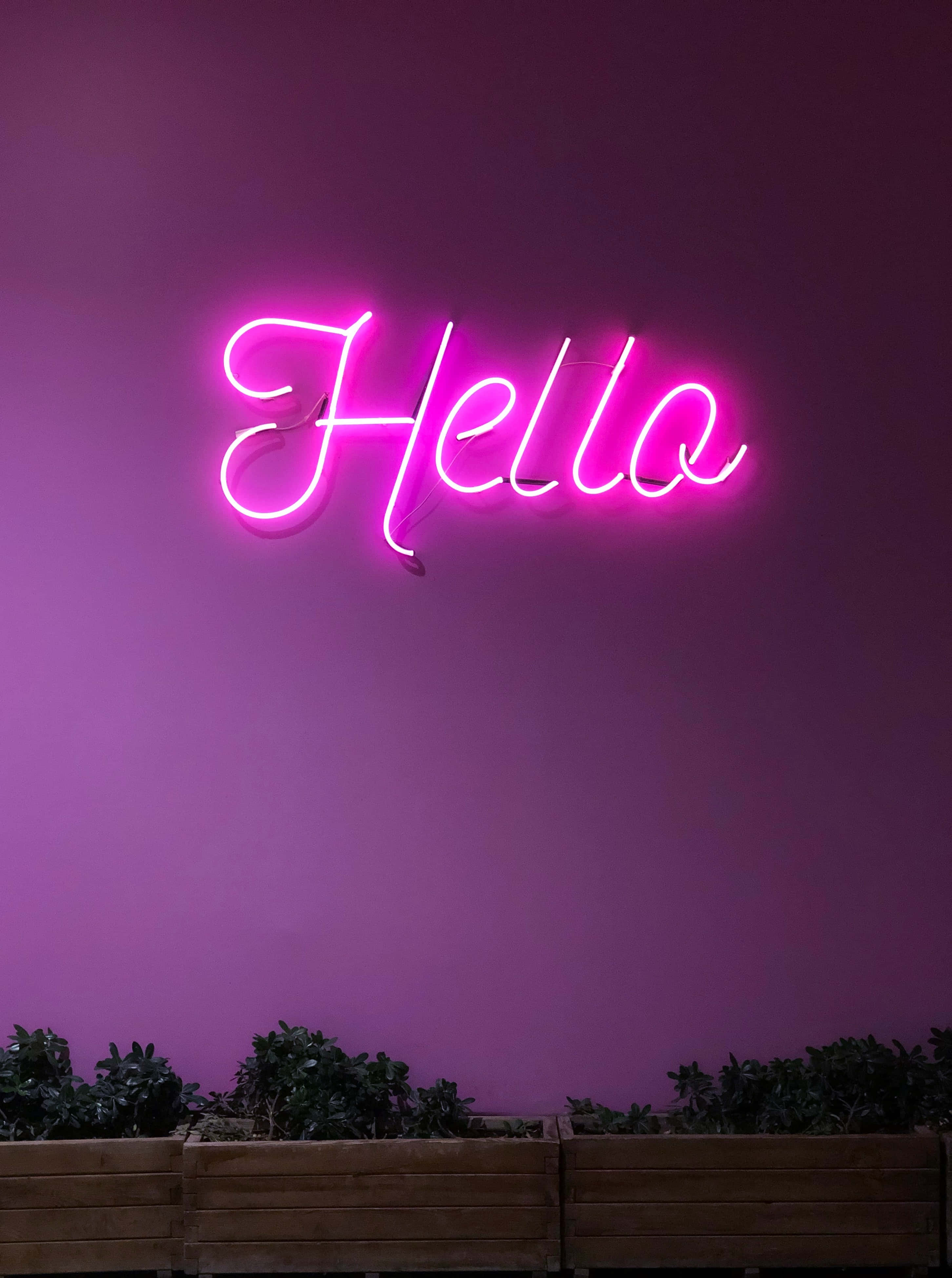 "Nyt en unikt fargerik opplevelse med lilla neon" Bakgrunner