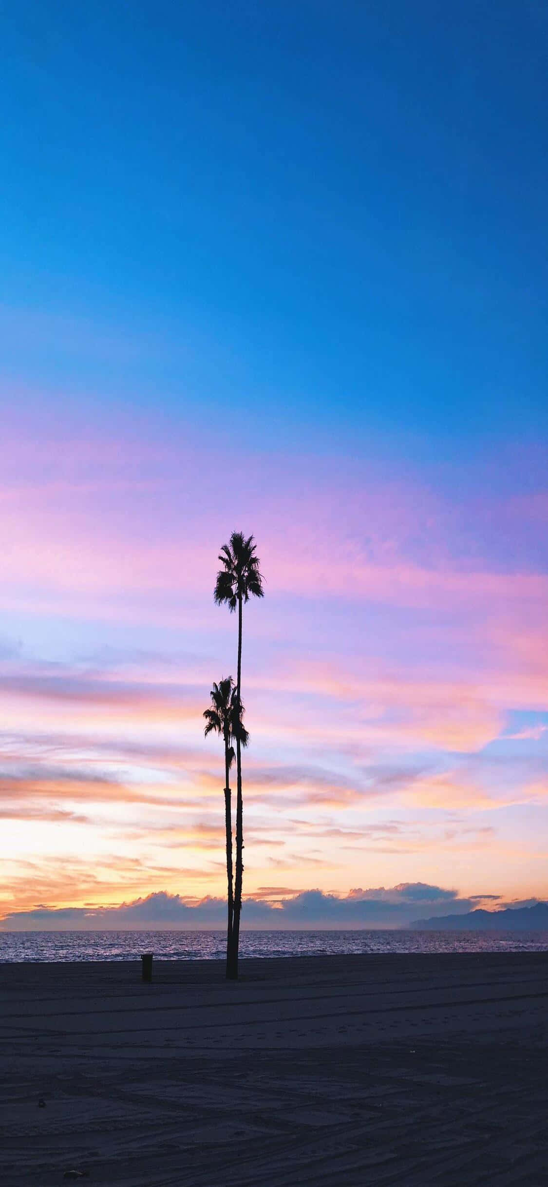 Nyt livet i Gullstaten med iPhone X California Bakgrunner
