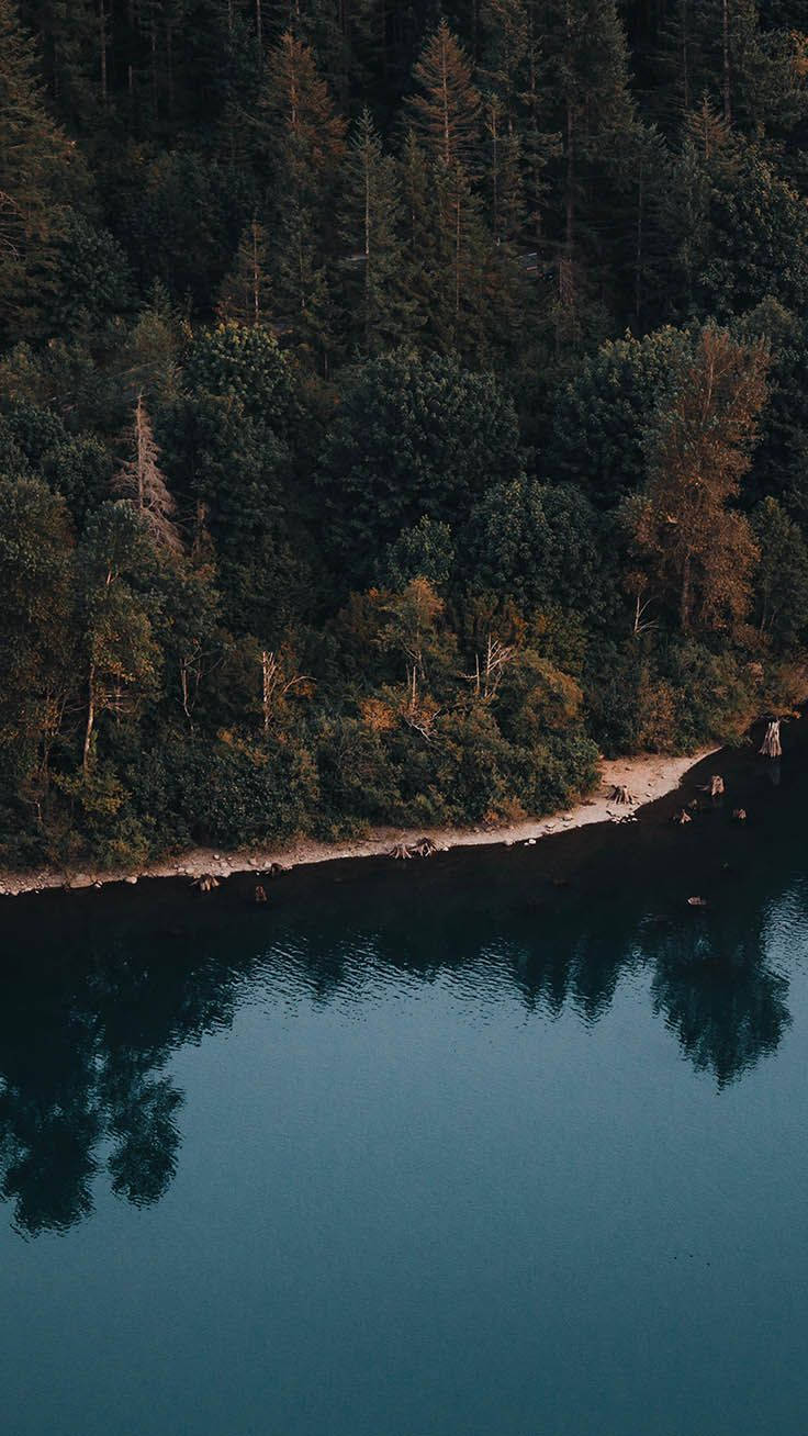 Nyt naturens skjønnhet med iPhone XR. Bakgrunner