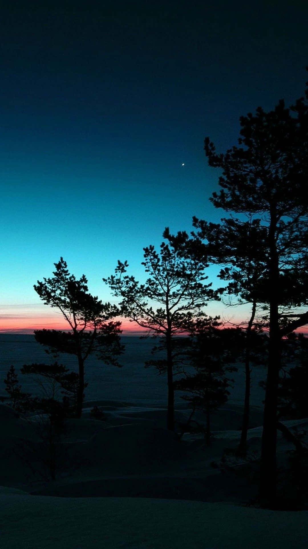 Nyt naturens skjønnhet Bakgrunner