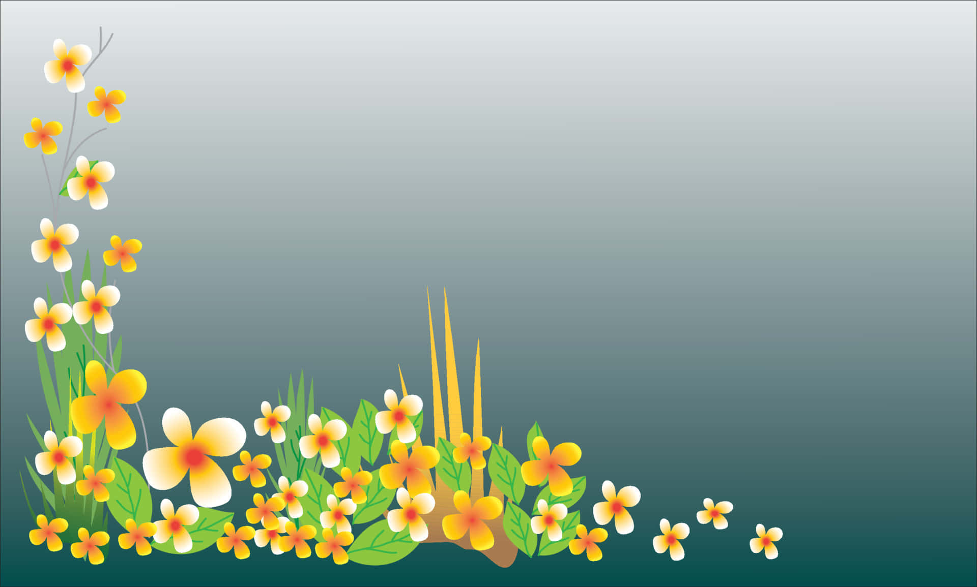 Nyt skjønnheten til denne utsøkte blomsten Bakgrunner