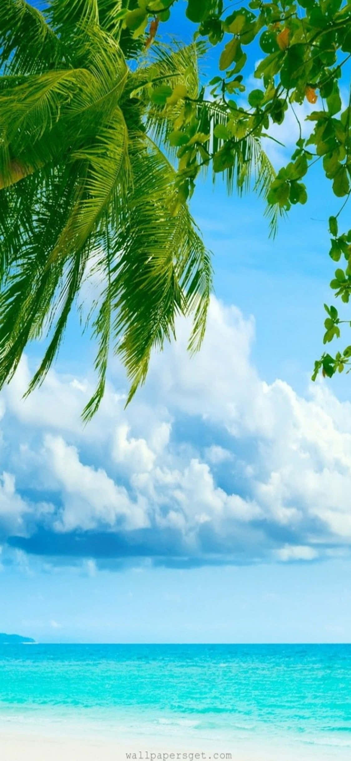 Nyt skjønnheten på en strand med din iPhone Xs Bakgrunner
