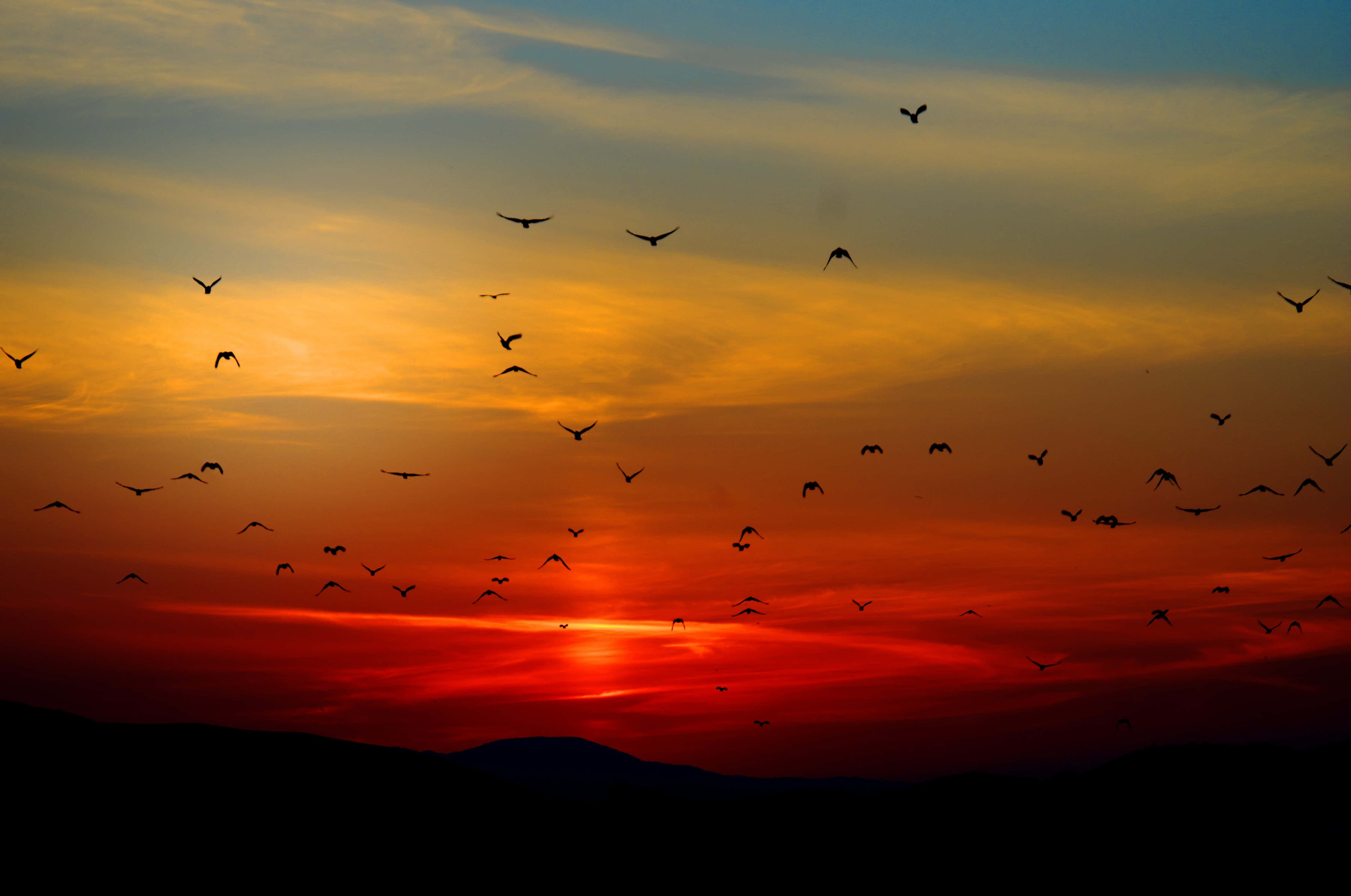 Nyt skjønnheten av en fantastisk solnedgang Bakgrunner