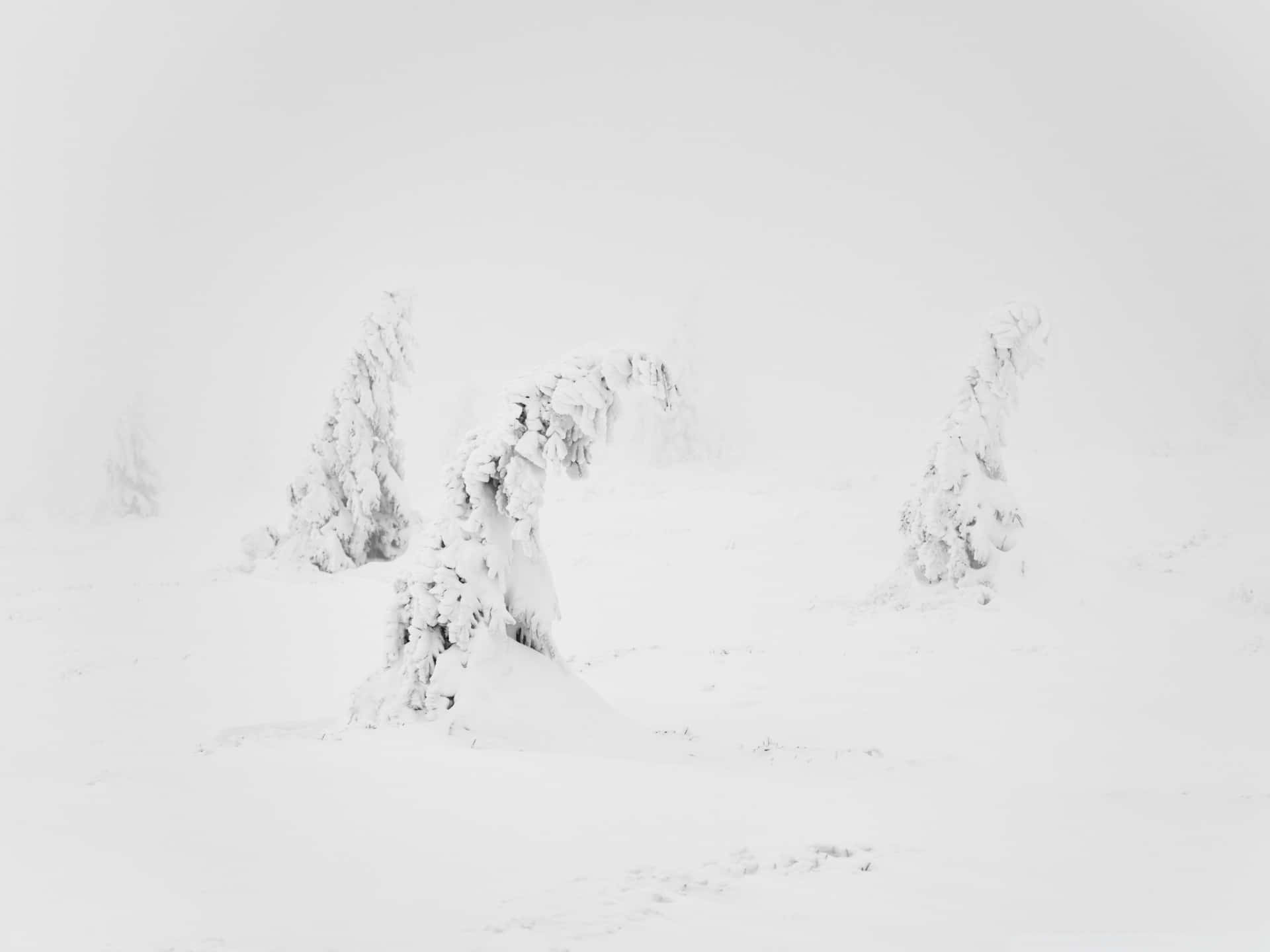 Nyt skjønnheten av snødekte åser. Bakgrunner