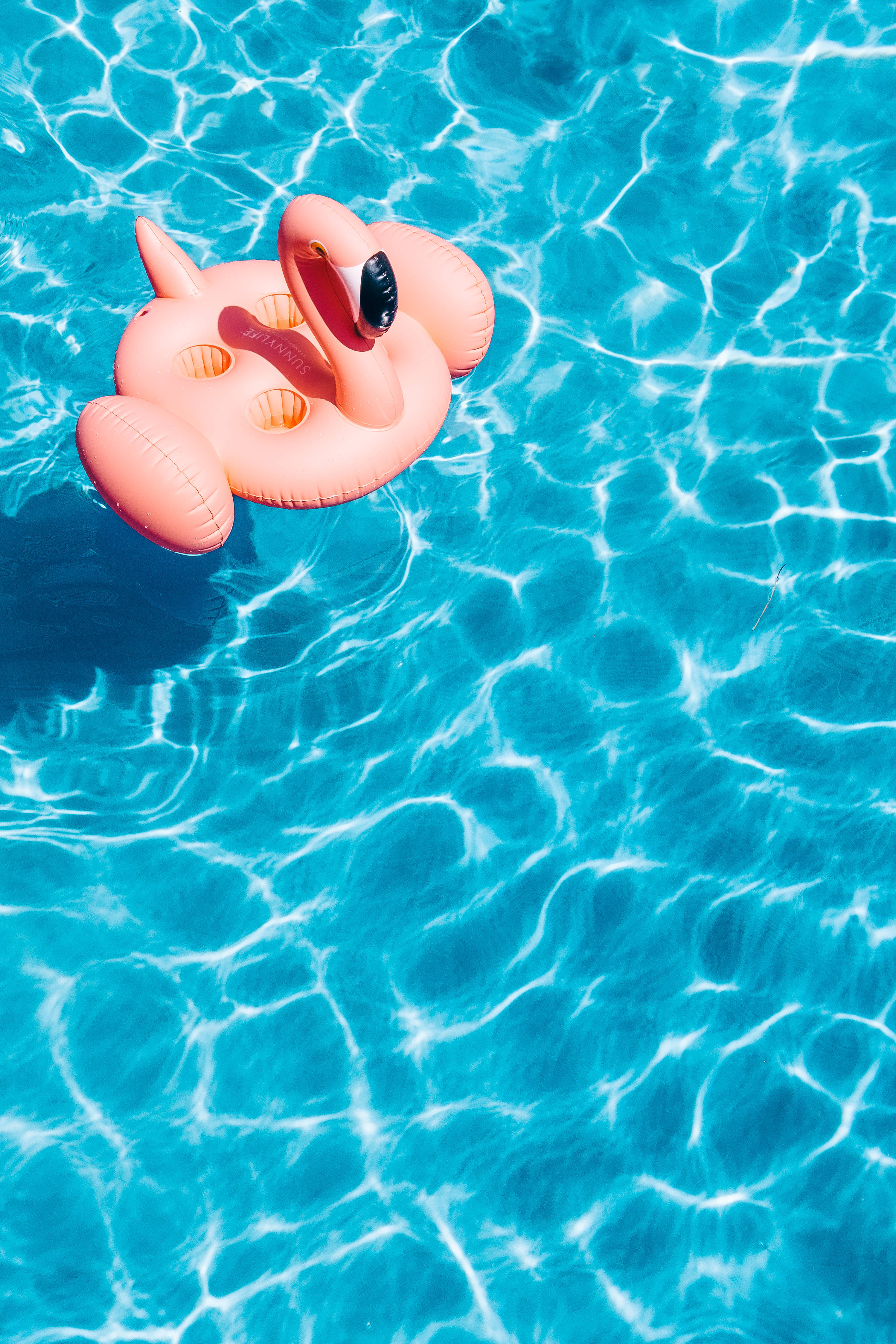 Nyt sommergleden ved å flyte på en gigantisk oppblåsbar flamingo Bakgrunner