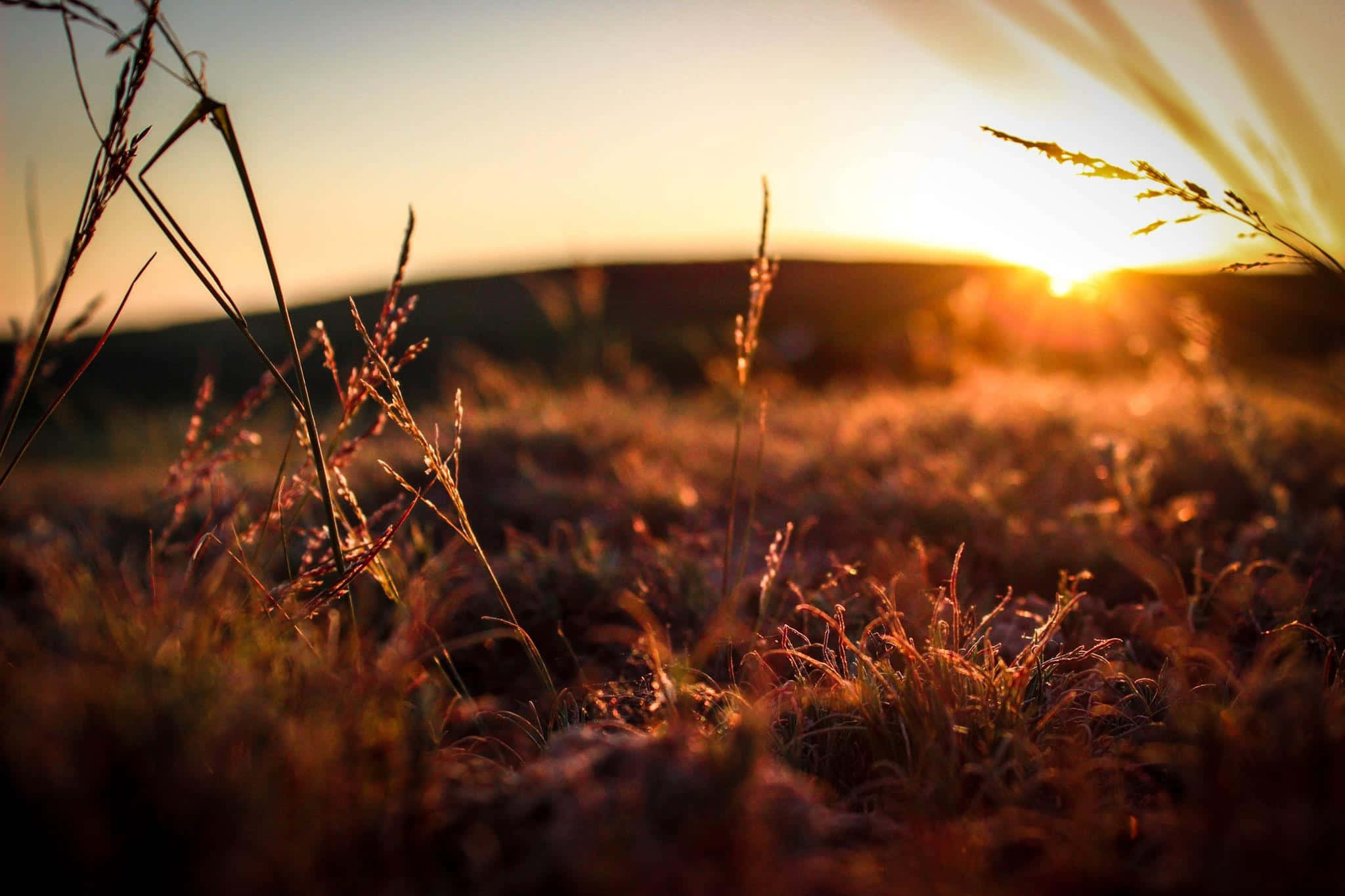 Nyter en vakker solnedgang Bakgrunner