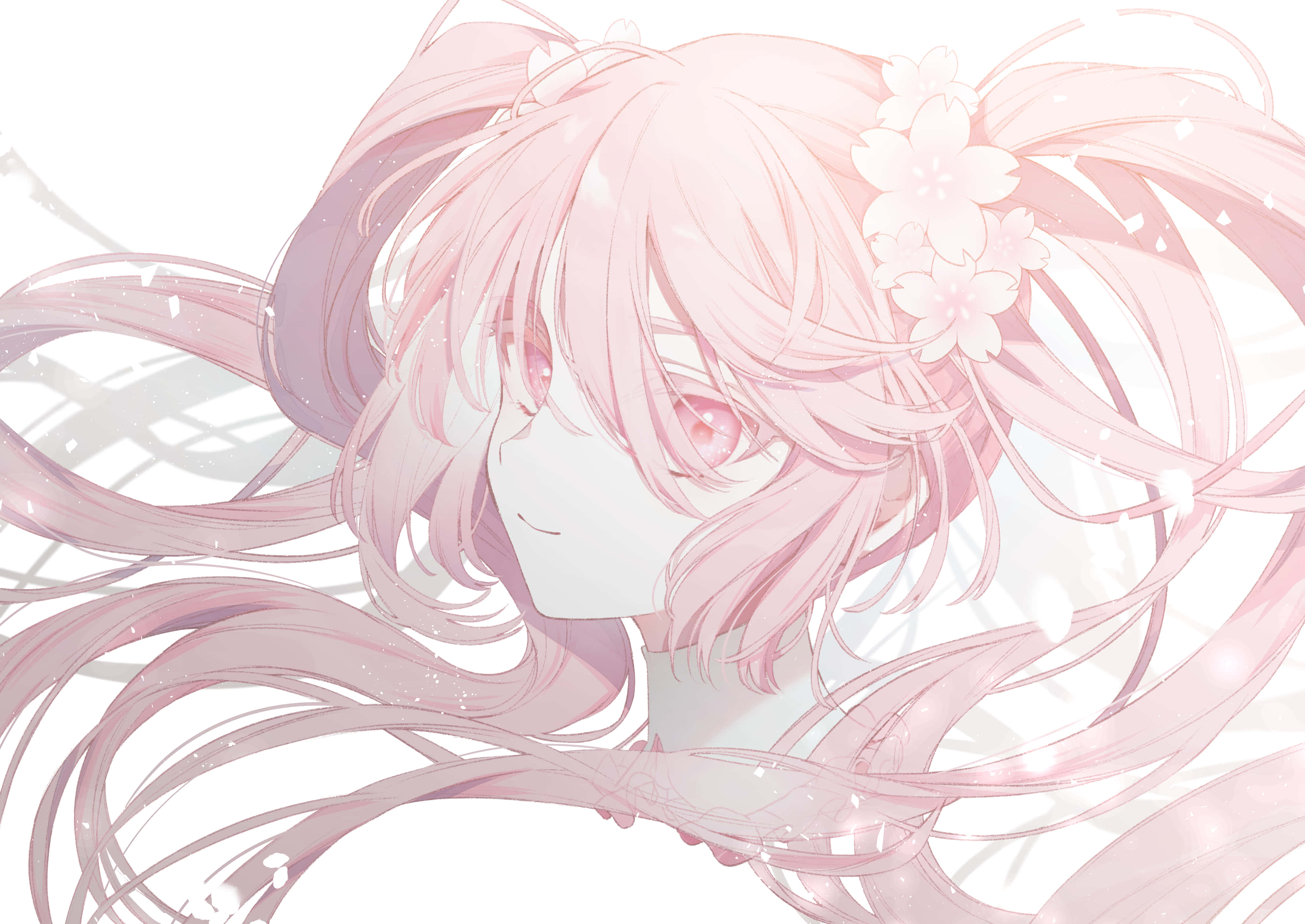 Nyter vakre kirsebærblomstblad med Sakura Miku Bakgrunner