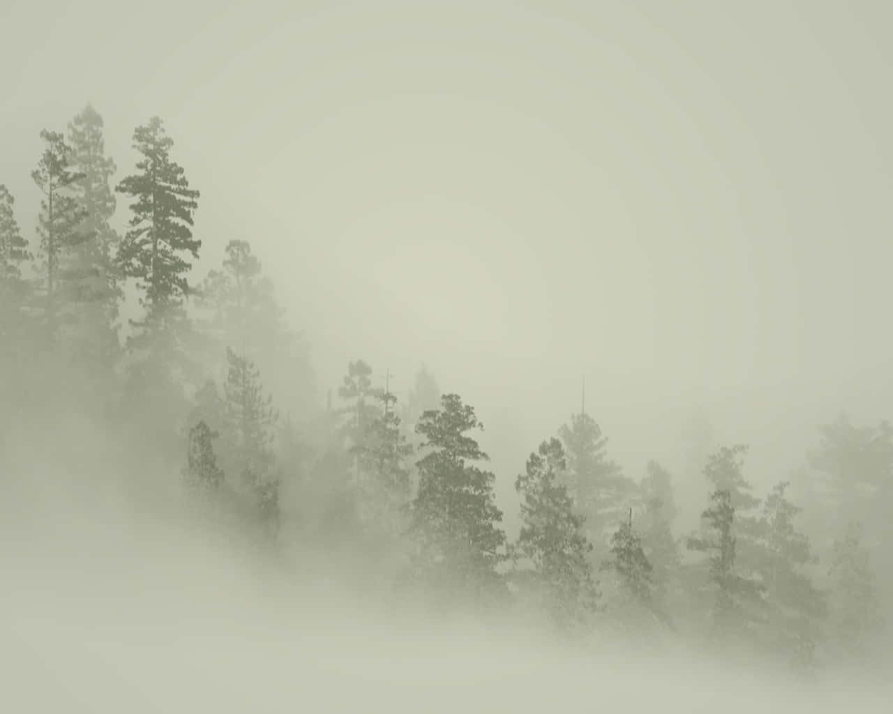 Nøytral bakgrunn Bakgrunner