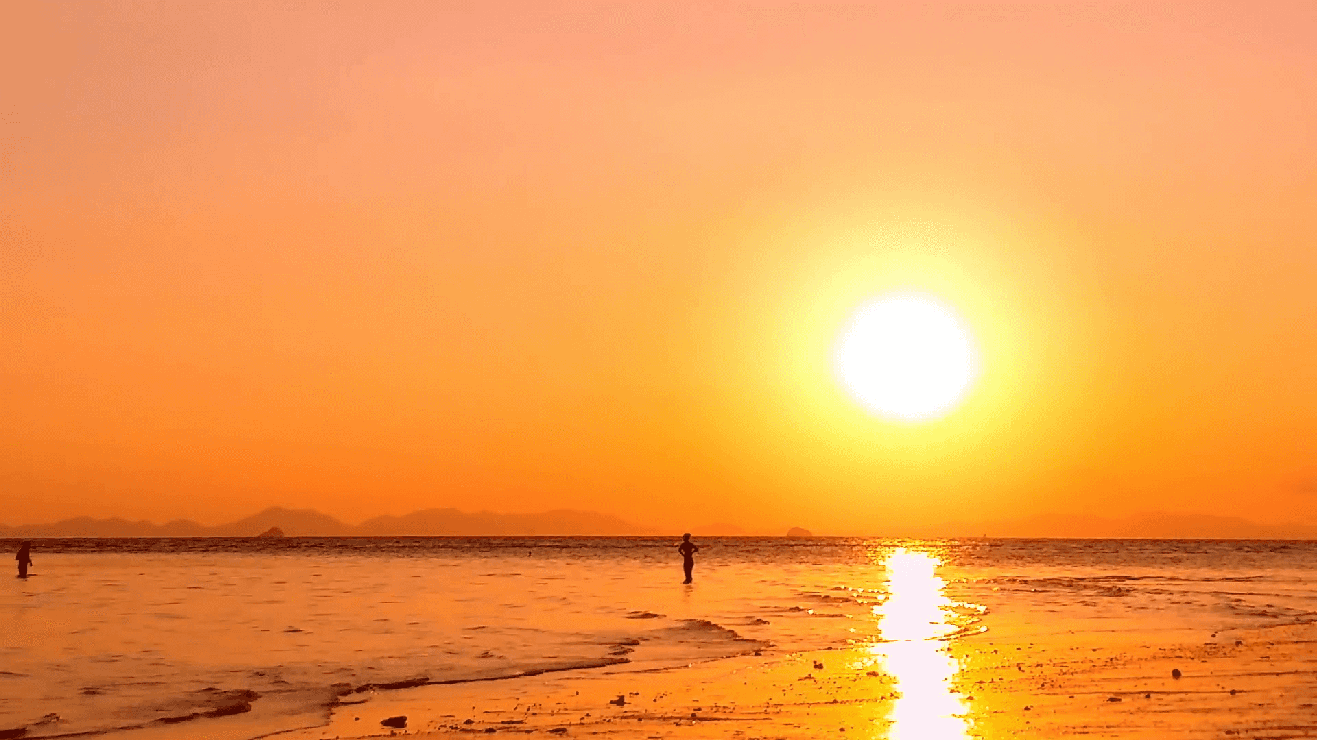 Omfavn skjønnheten i en rolig strandsolnedgang Bakgrunner