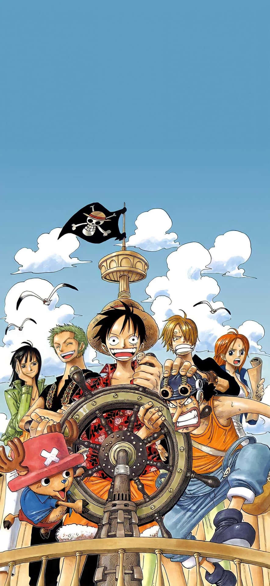 One Piece-bilder