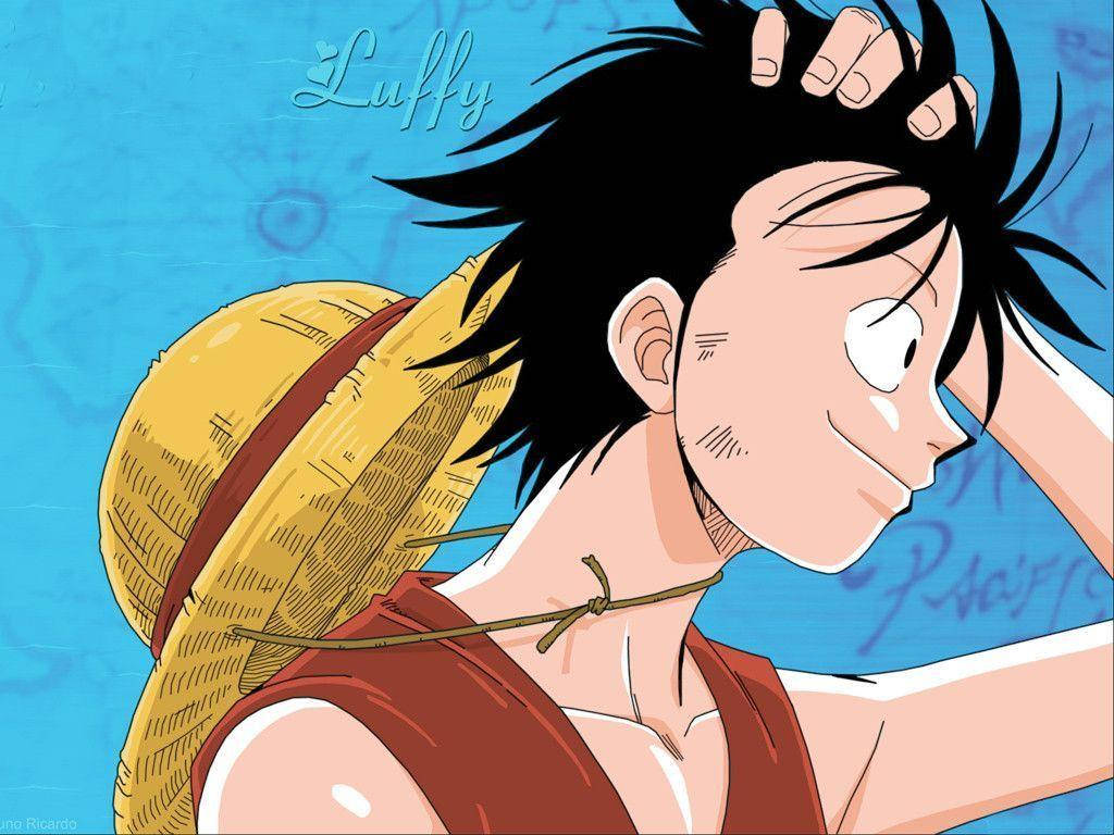 One Piece Monkey D Luffy Bakgrunner