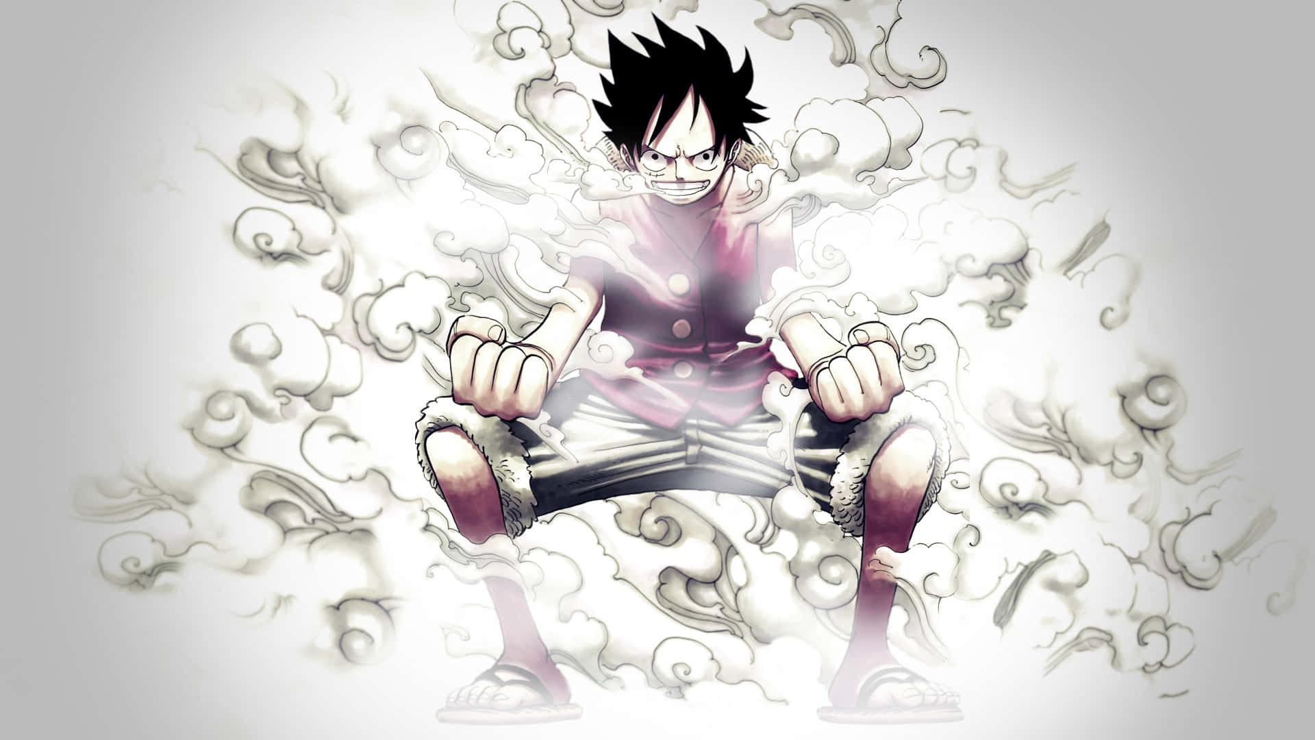 One Pieces Piratkonge: Monkey D. Luffy Bakgrunner