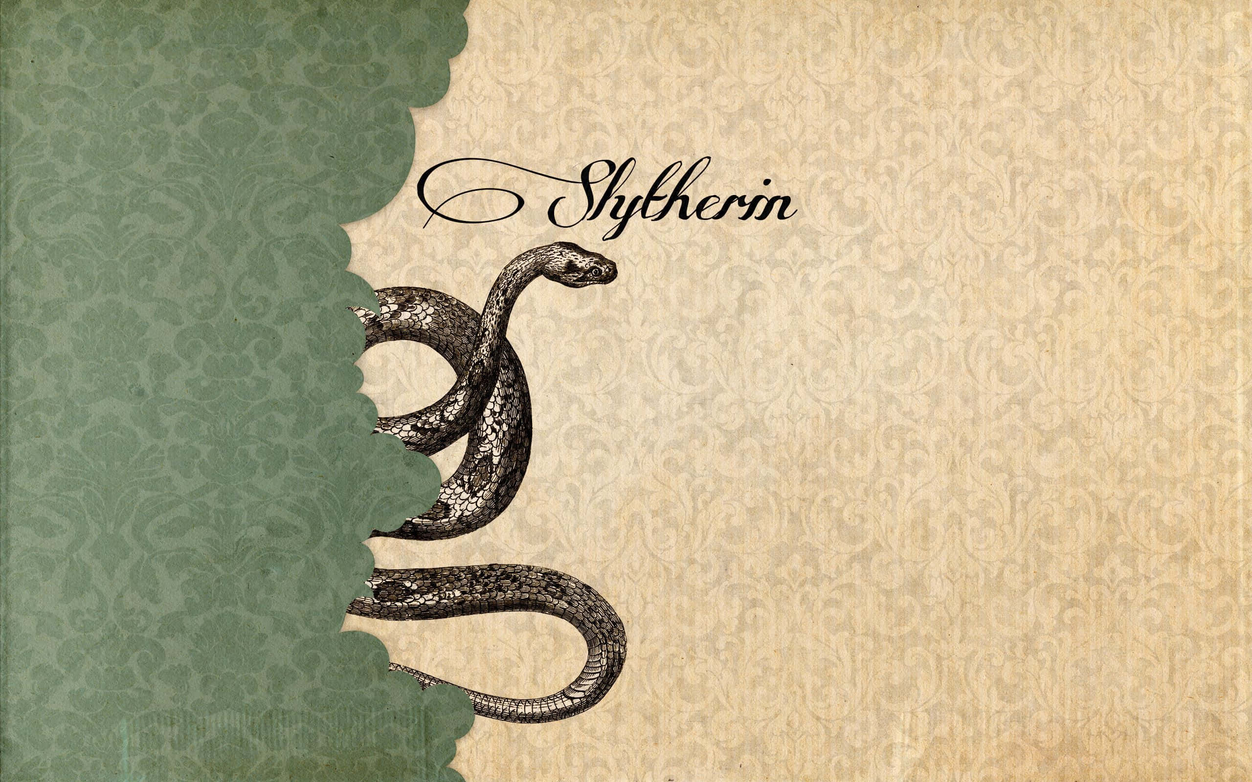 Oppdag den mystiske sjarmen til Slytherin Aesthetic 🐍 Bakgrunner
