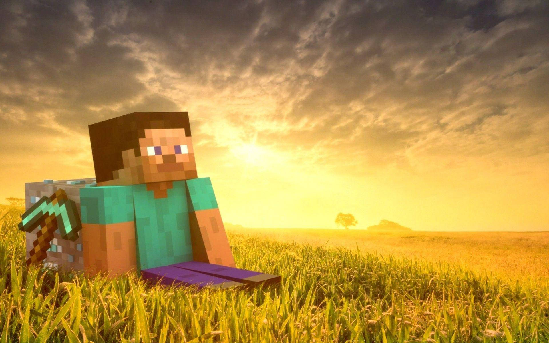 Minecraft Steve i gressmark HD bakgrunn