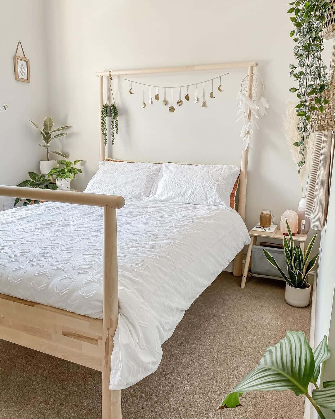 Oppdag livets skjønnhet i Aesthetic White Bakgrunner
