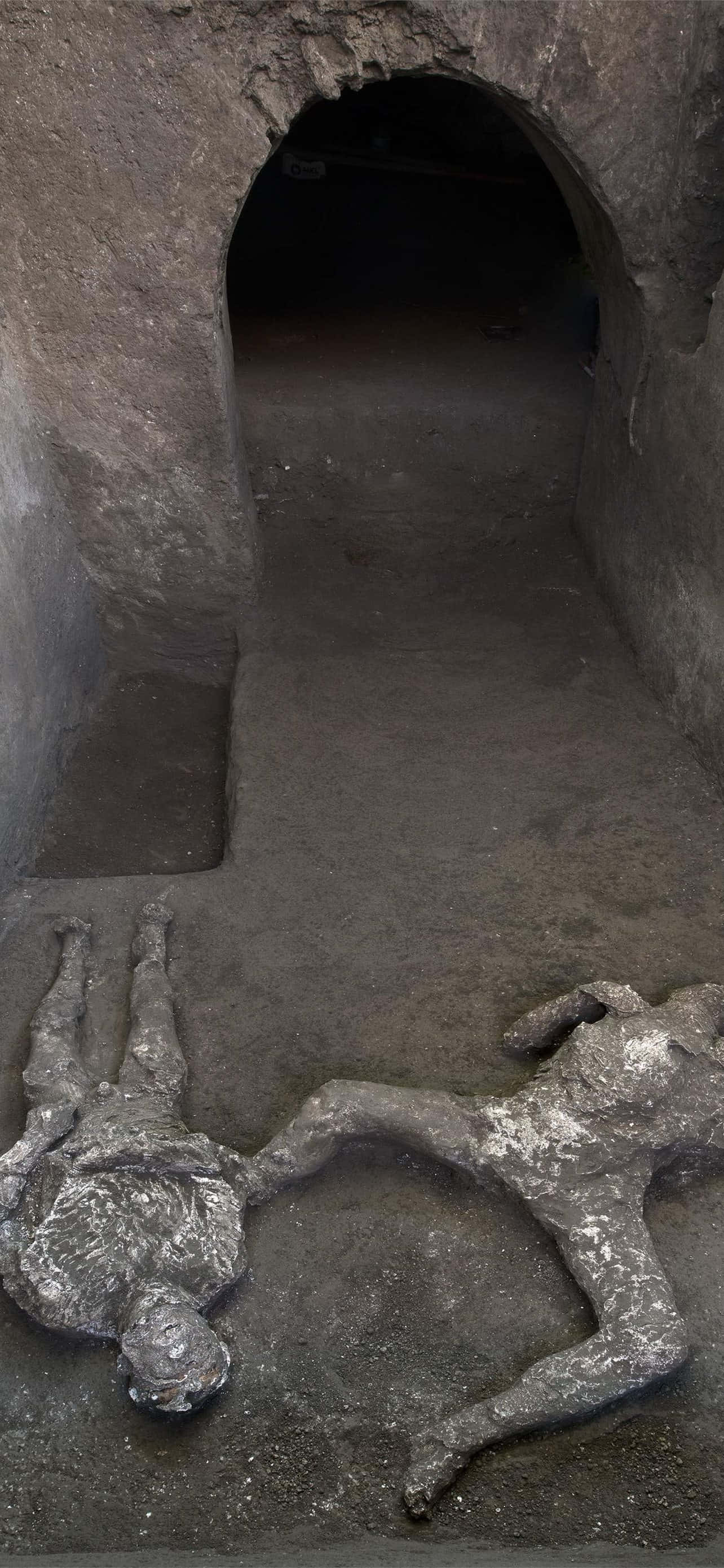Oppgravde menneskekropper i Pompeii Bakgrunner