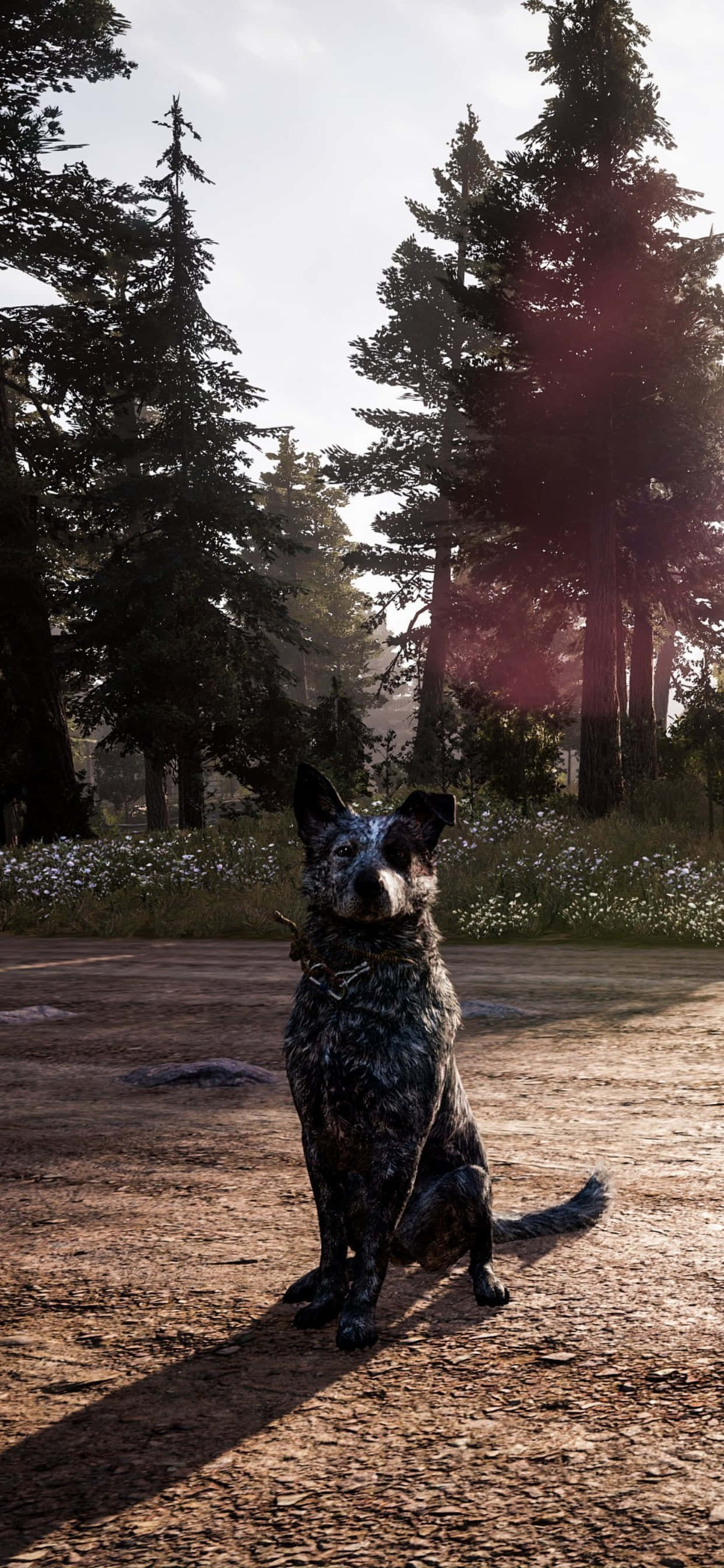 Opplev den oppslukende Far Cry 5-verdenen på din iPhone Xs Max Bakgrunner