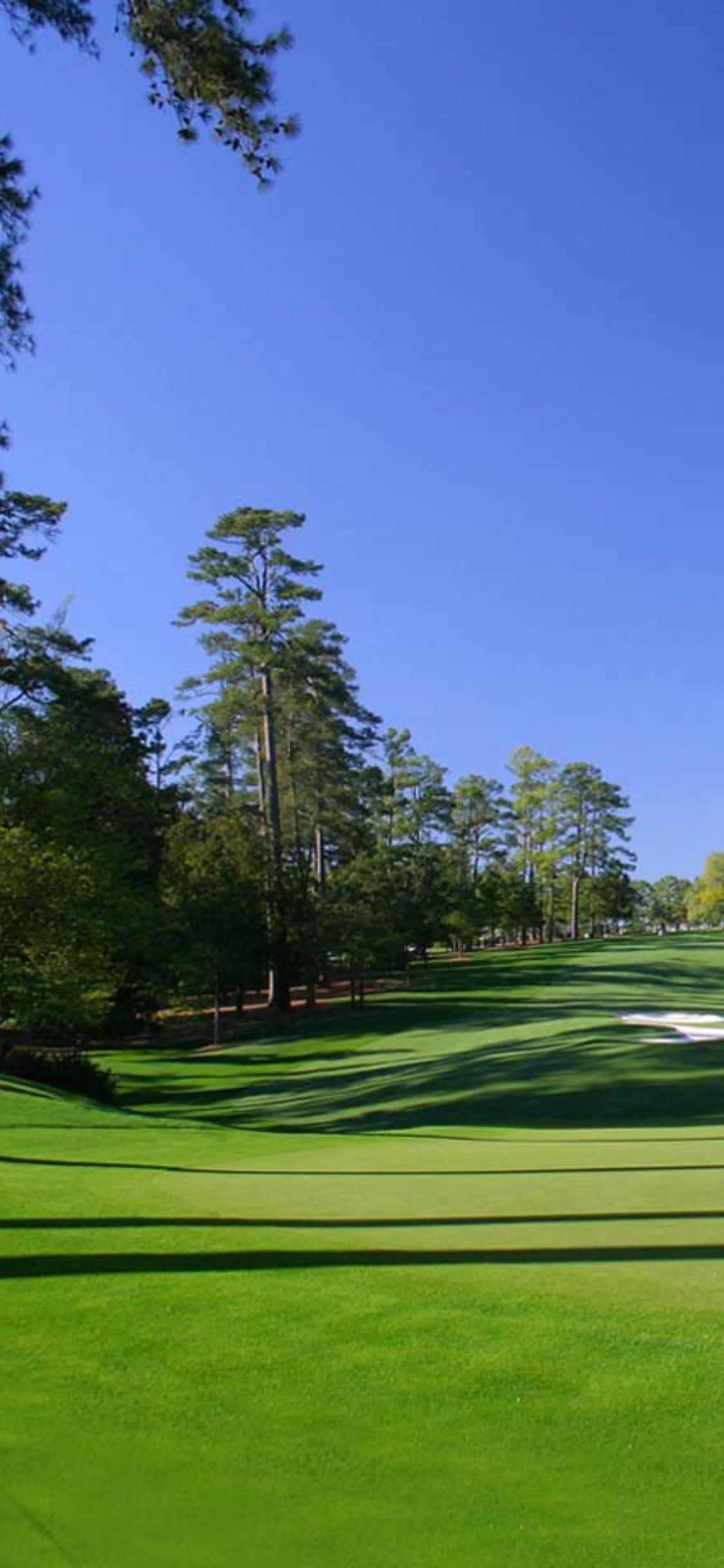 Opplev praktfullheten på en golfbane med iPhone X Bakgrunner