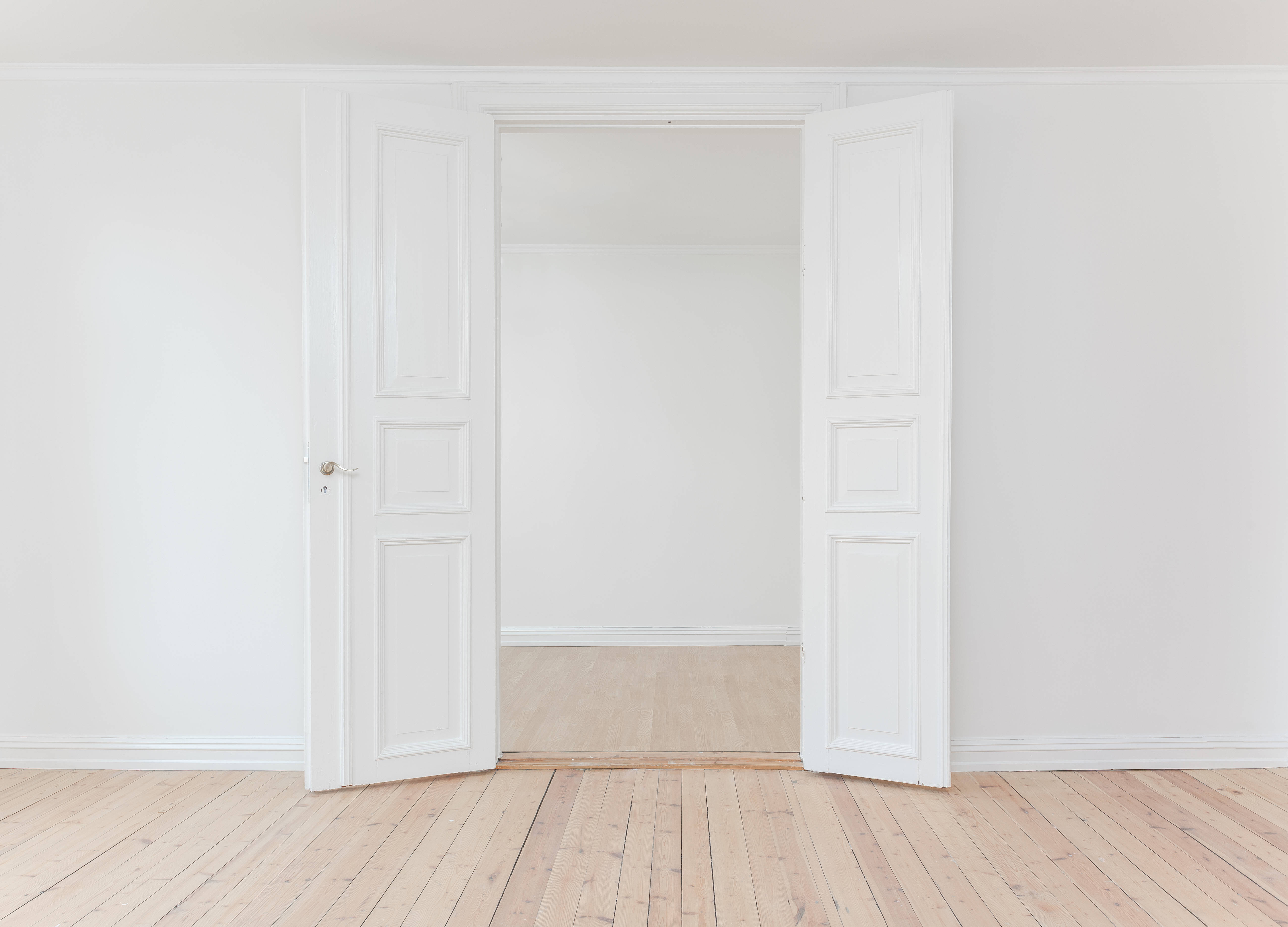 Opplev roen i et rent minimalistisk design Bakgrunner