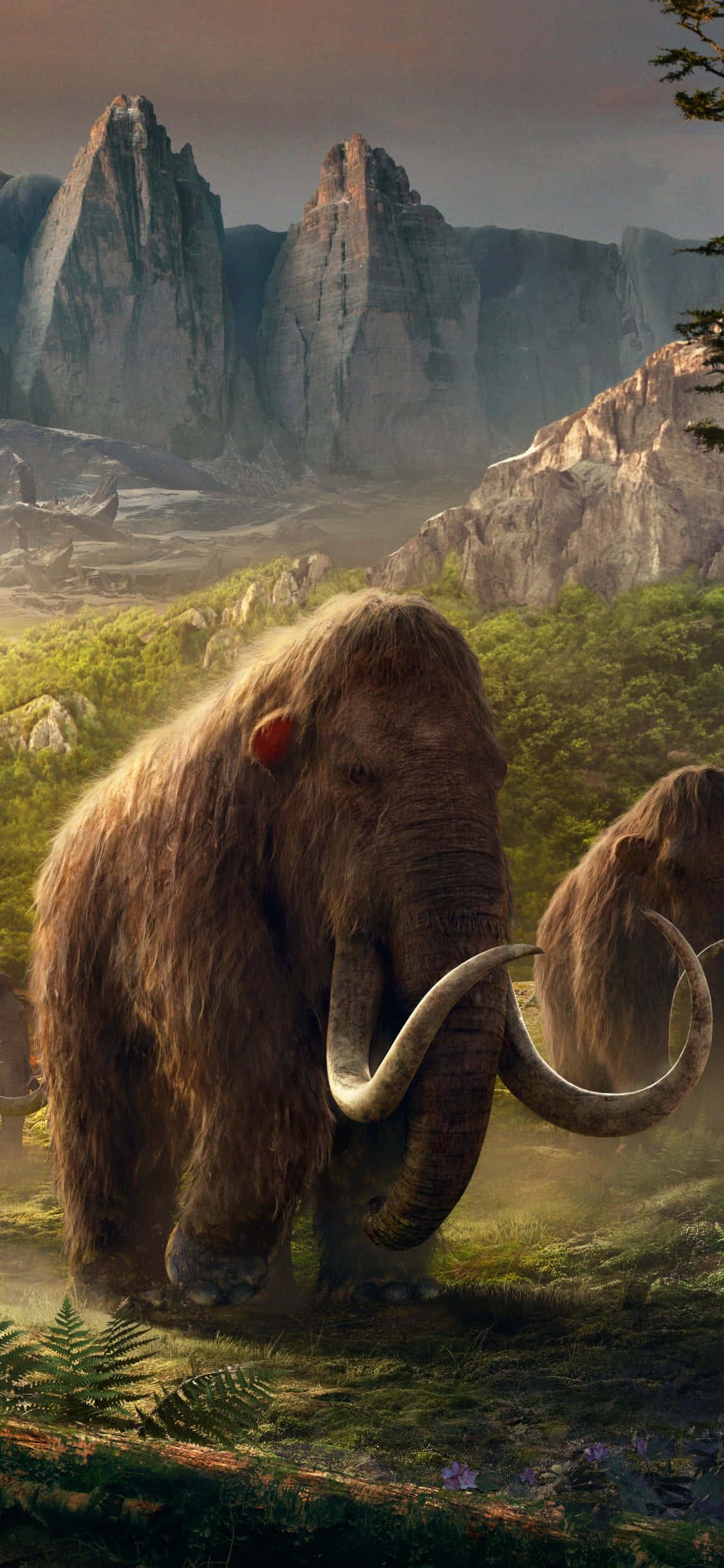 Opplev spenningen i Far Cry 4 på iPhone Xs Bakgrunner