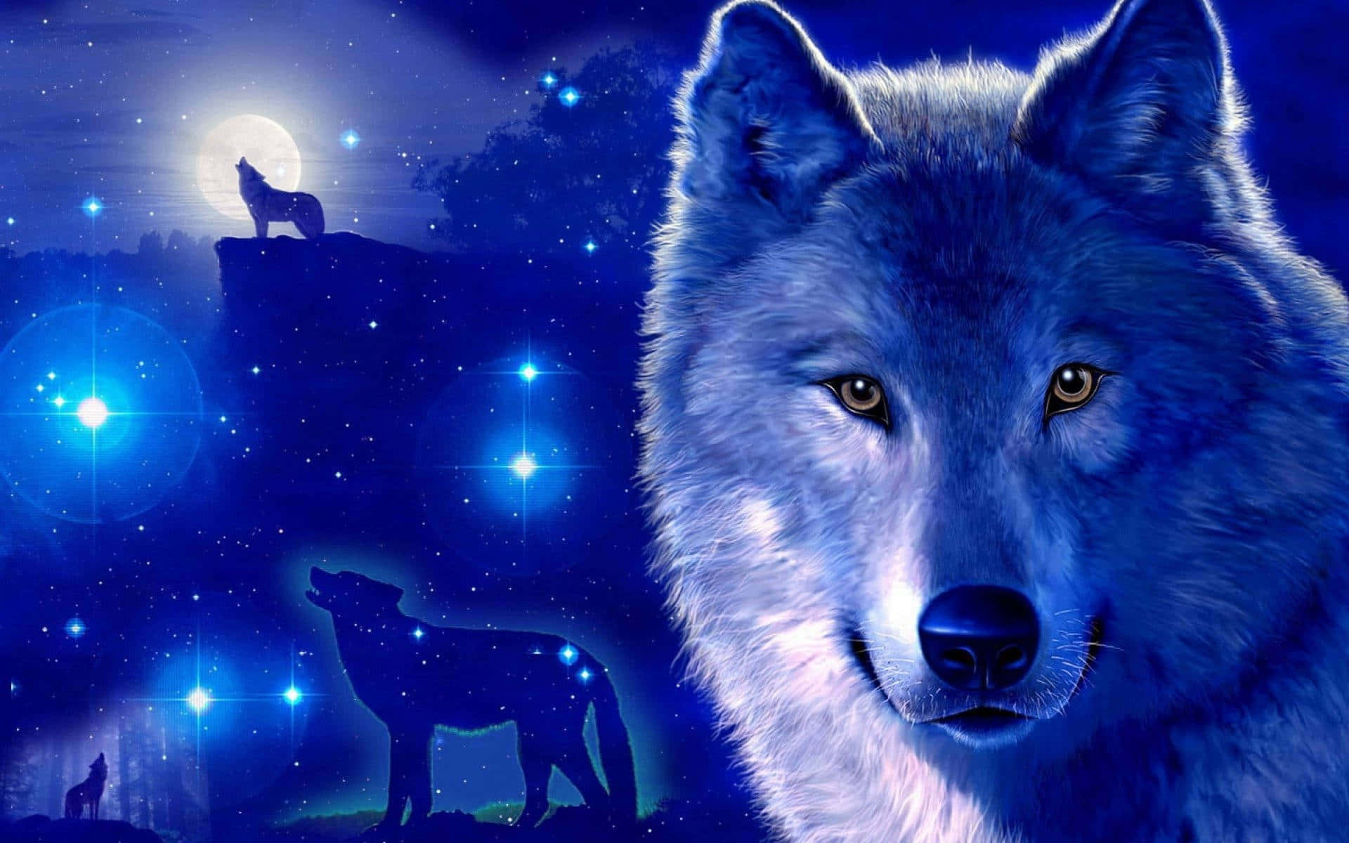 Opplev stjernenes skjønnhet med Galaxy Wolf Bakgrunner